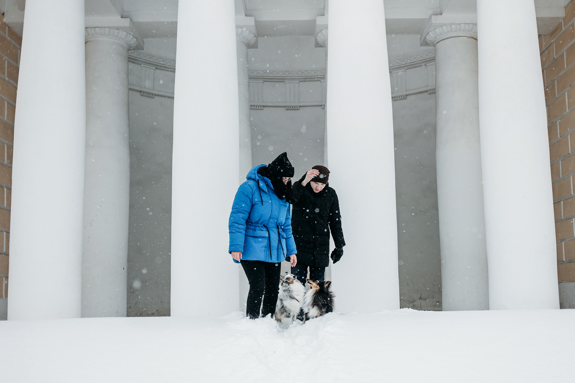 Александра, Бум и Нэвис. Фотограф-анималист Елена Радченко, Москва