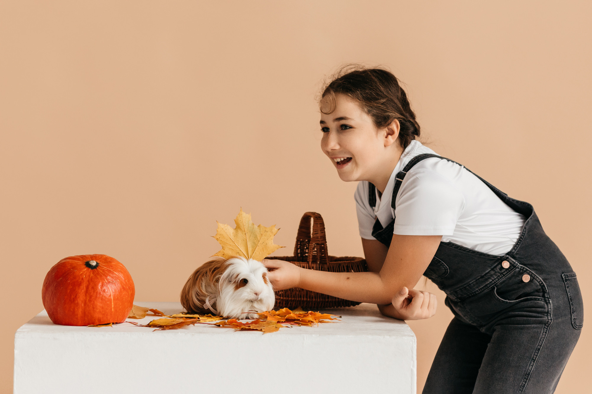 Ками и Кекс. Фотограф-анималист Елена Радченко, Москва