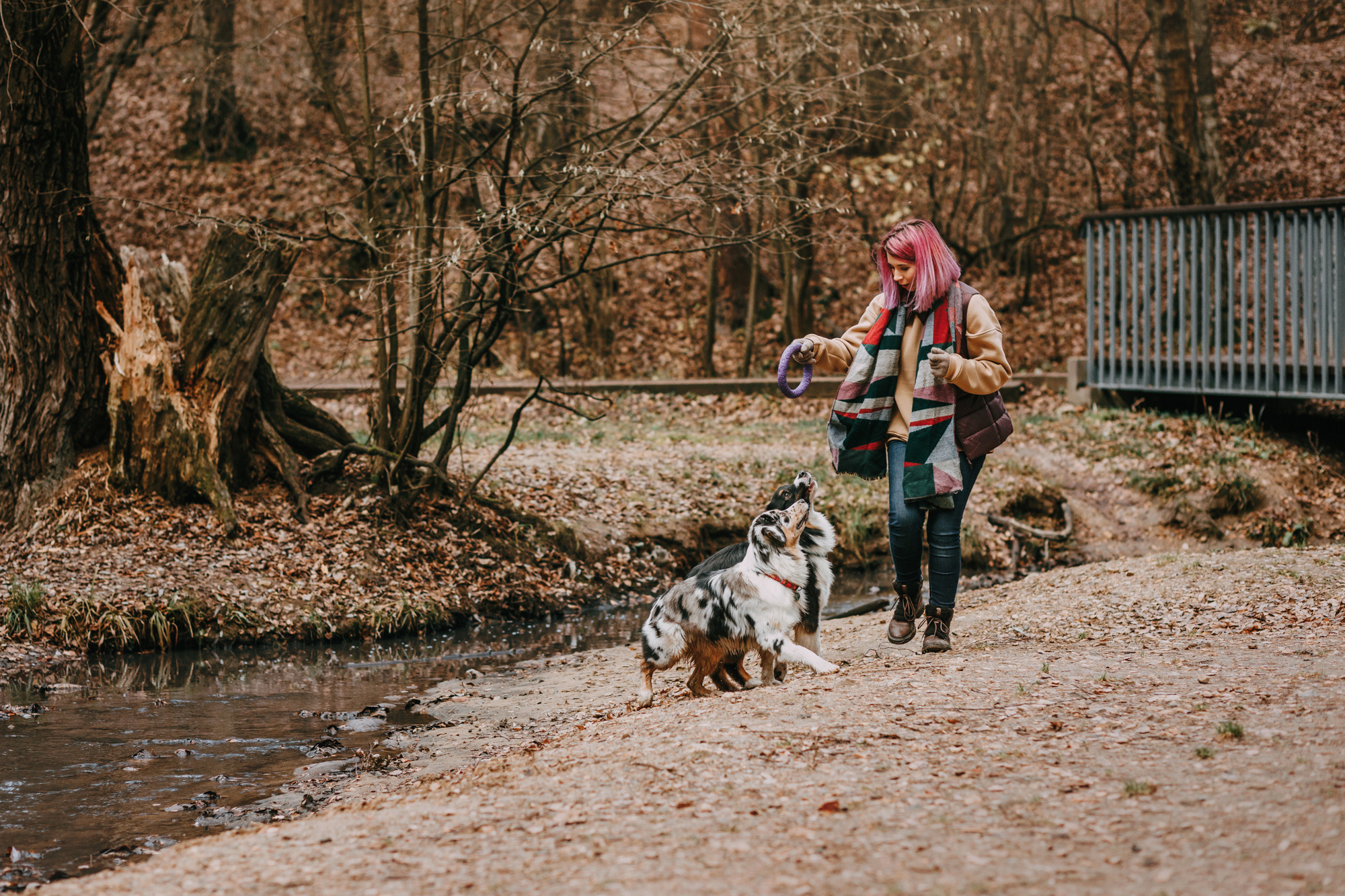 Анна, Чарли и Ева. Фотограф-анималист Елена Радченко, Москва