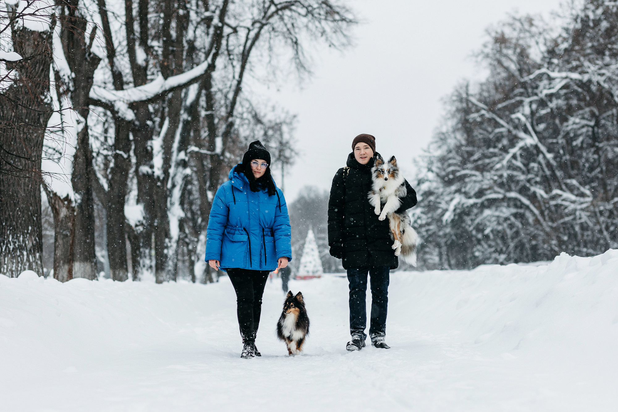 Александра, Бум и Нэвис. Фотограф-анималист Елена Радченко, Москва