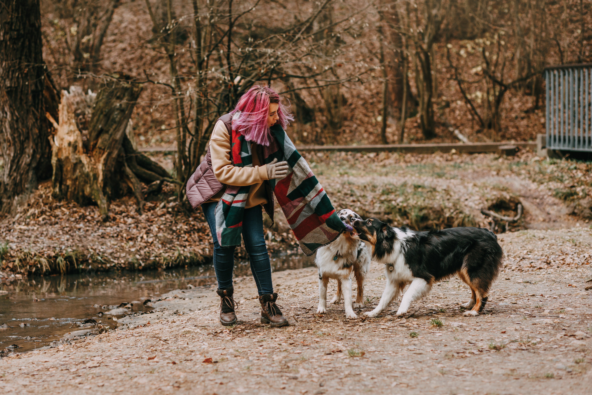 Анна, Чарли и Ева. Фотограф-анималист Елена Радченко, Москва