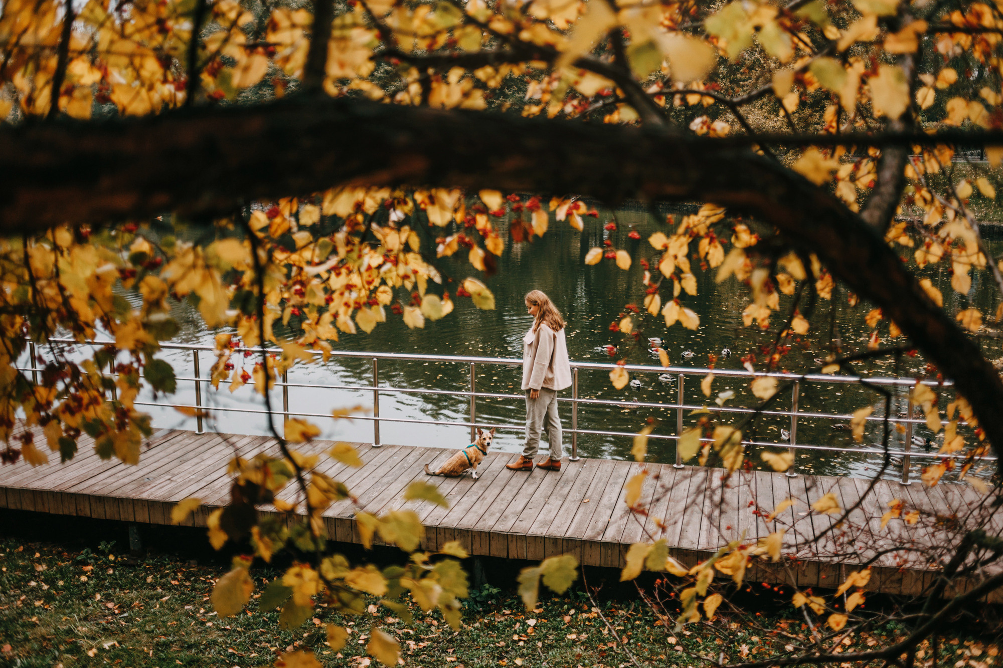 Светлана и Стюарт. Фотограф-анималист Елена Радченко, Москва