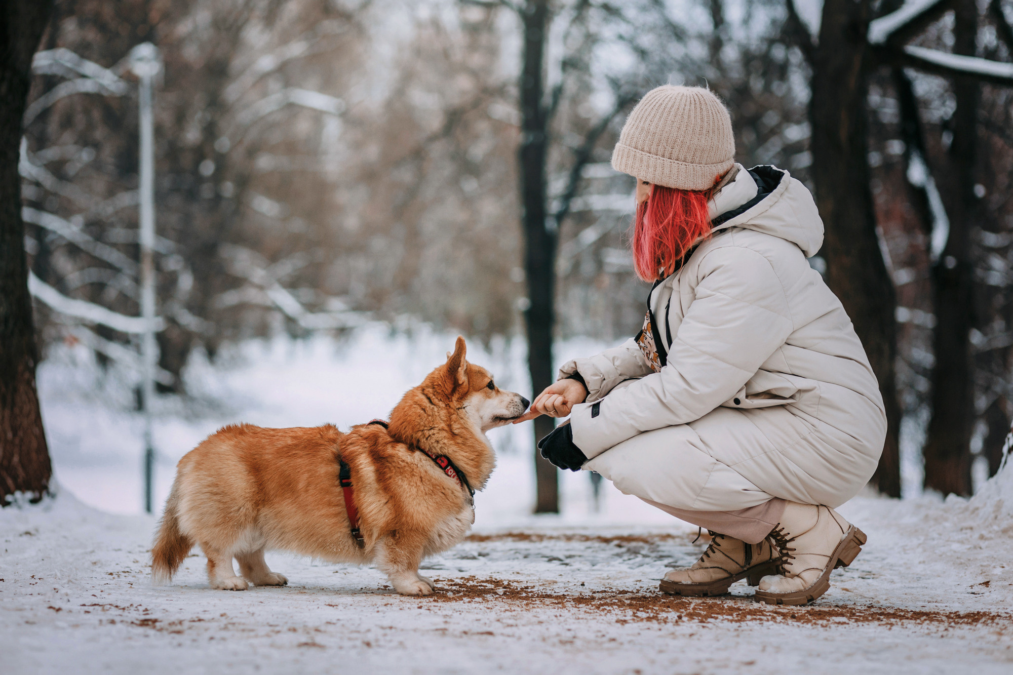 Аня и Фил. Фотограф-анималист Елена Радченко, Москва