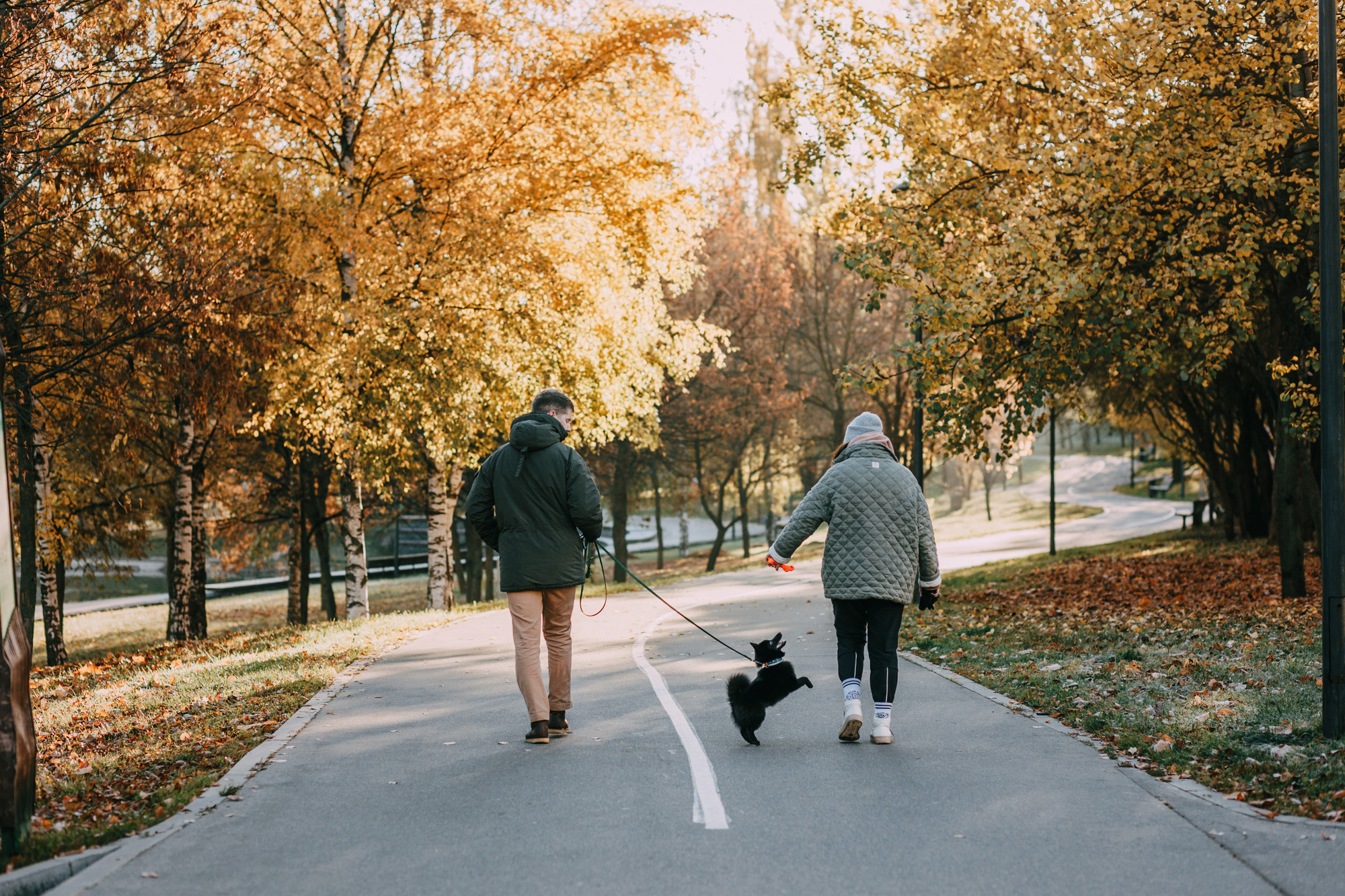 Настасья, Саша и Рокки. Фотограф-анималист Елена Радченко, Москва