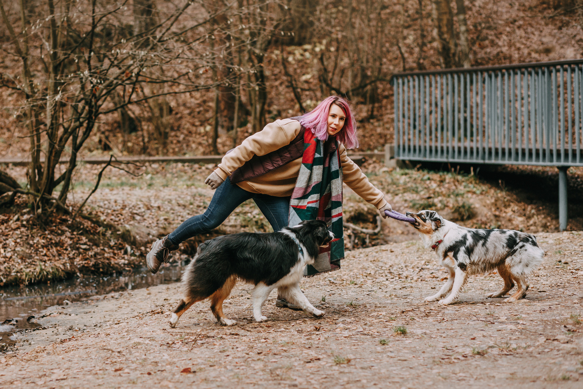 Анна, Чарли и Ева. Фотограф-анималист Елена Радченко, Москва