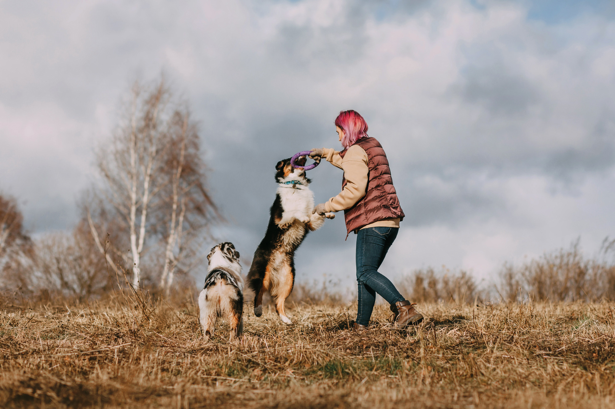 Анна, Чарли и Ева. Фотограф-анималист Елена Радченко, Москва