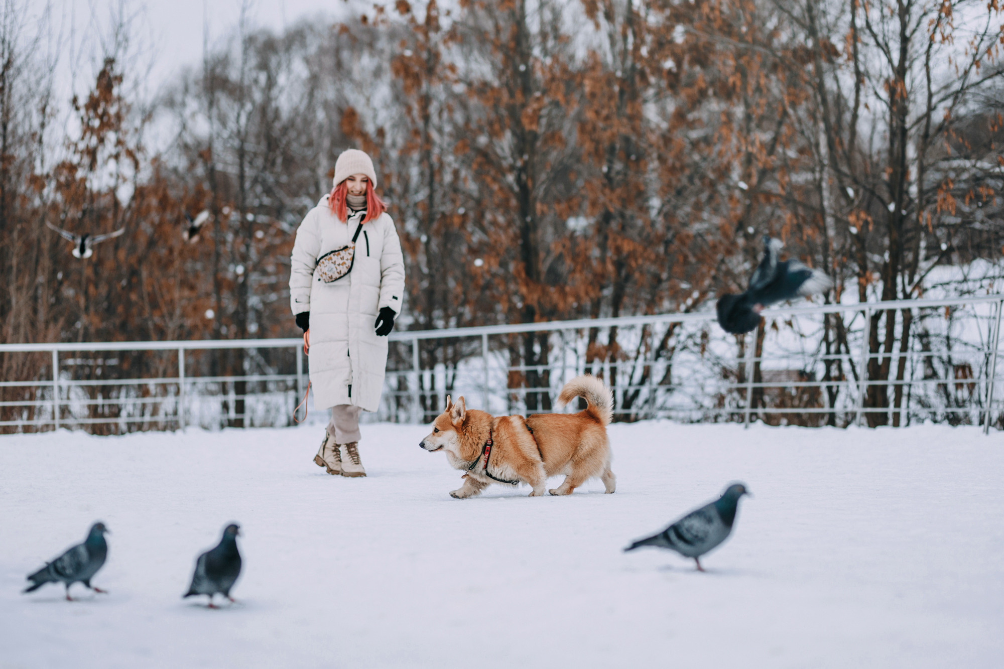 Аня и Фил. Фотограф-анималист Елена Радченко, Москва