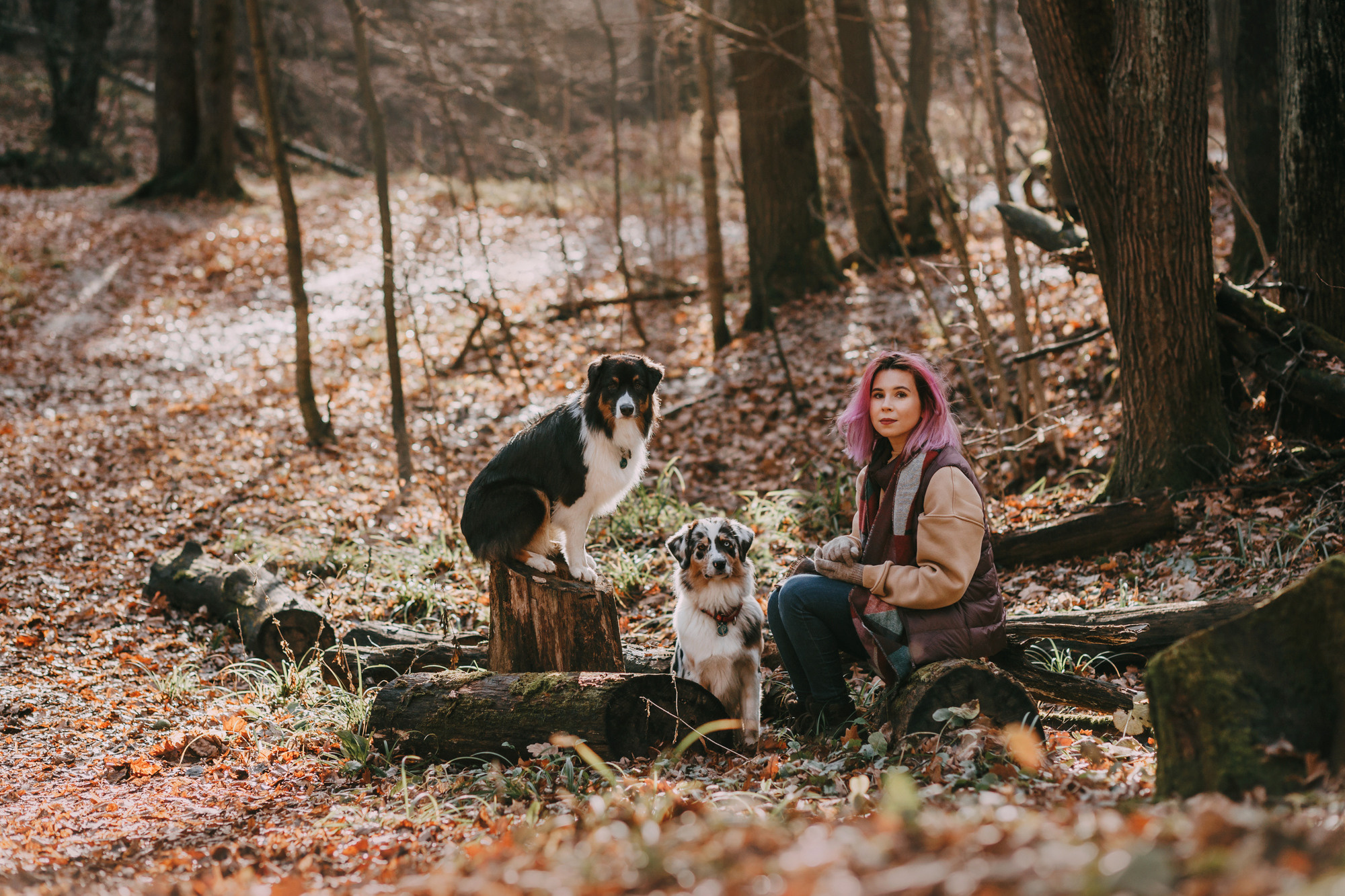 Анна, Чарли и Ева. Фотограф-анималист Елена Радченко, Москва