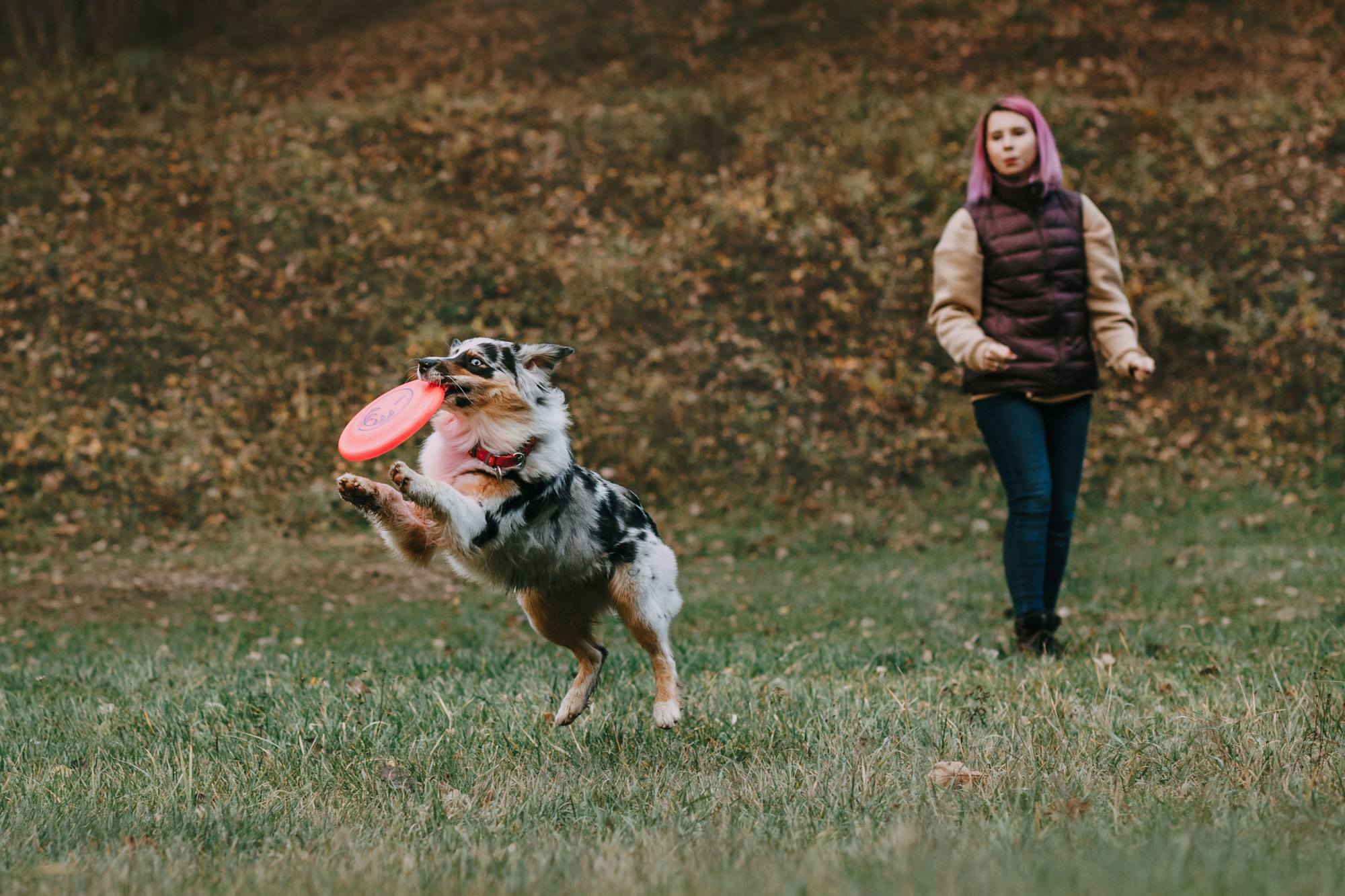 Анна, Чарли и Ева. Фотограф-анималист Елена Радченко, Москва