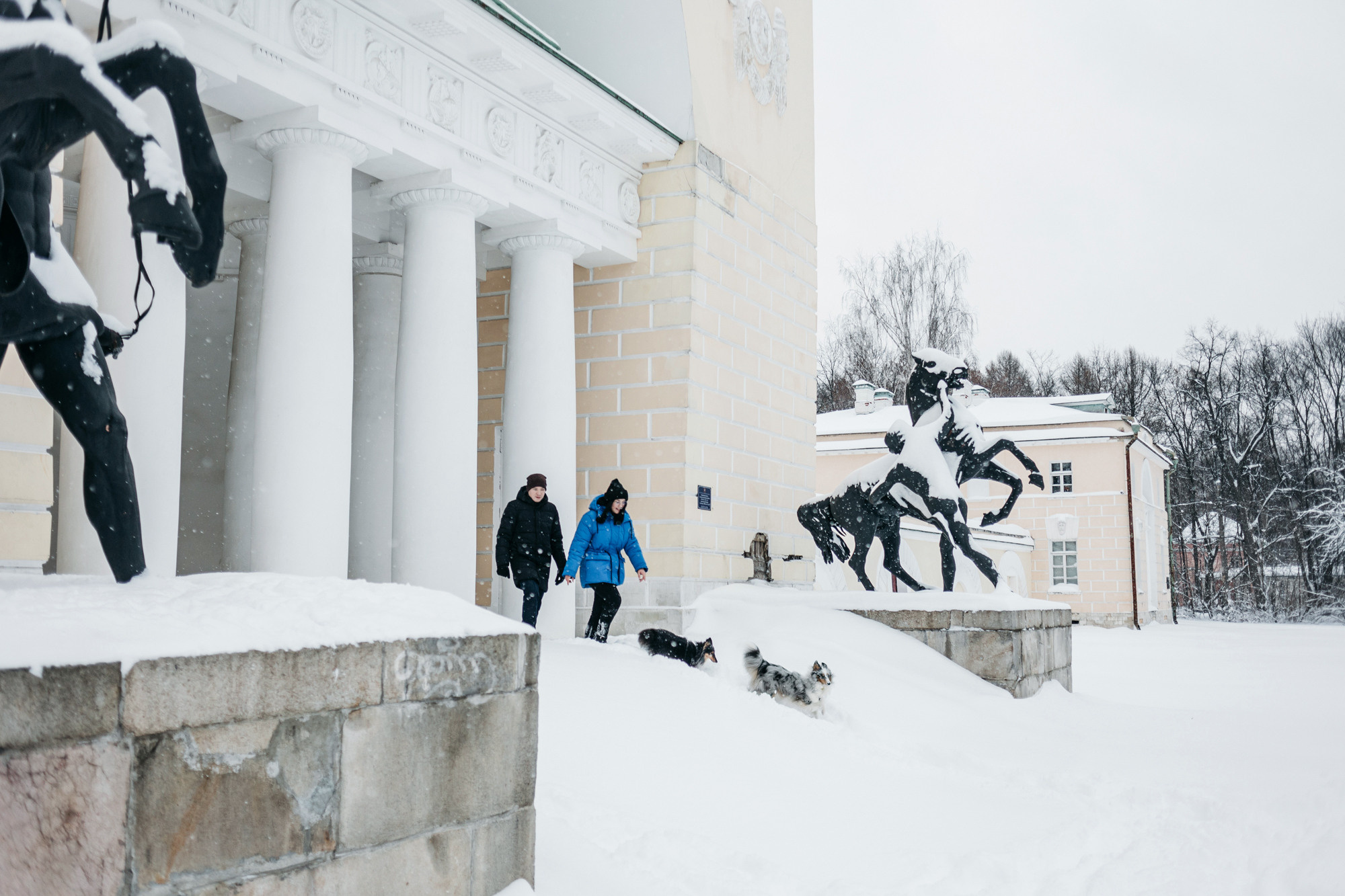 Александра, Бум и Нэвис. Фотограф-анималист Елена Радченко, Москва