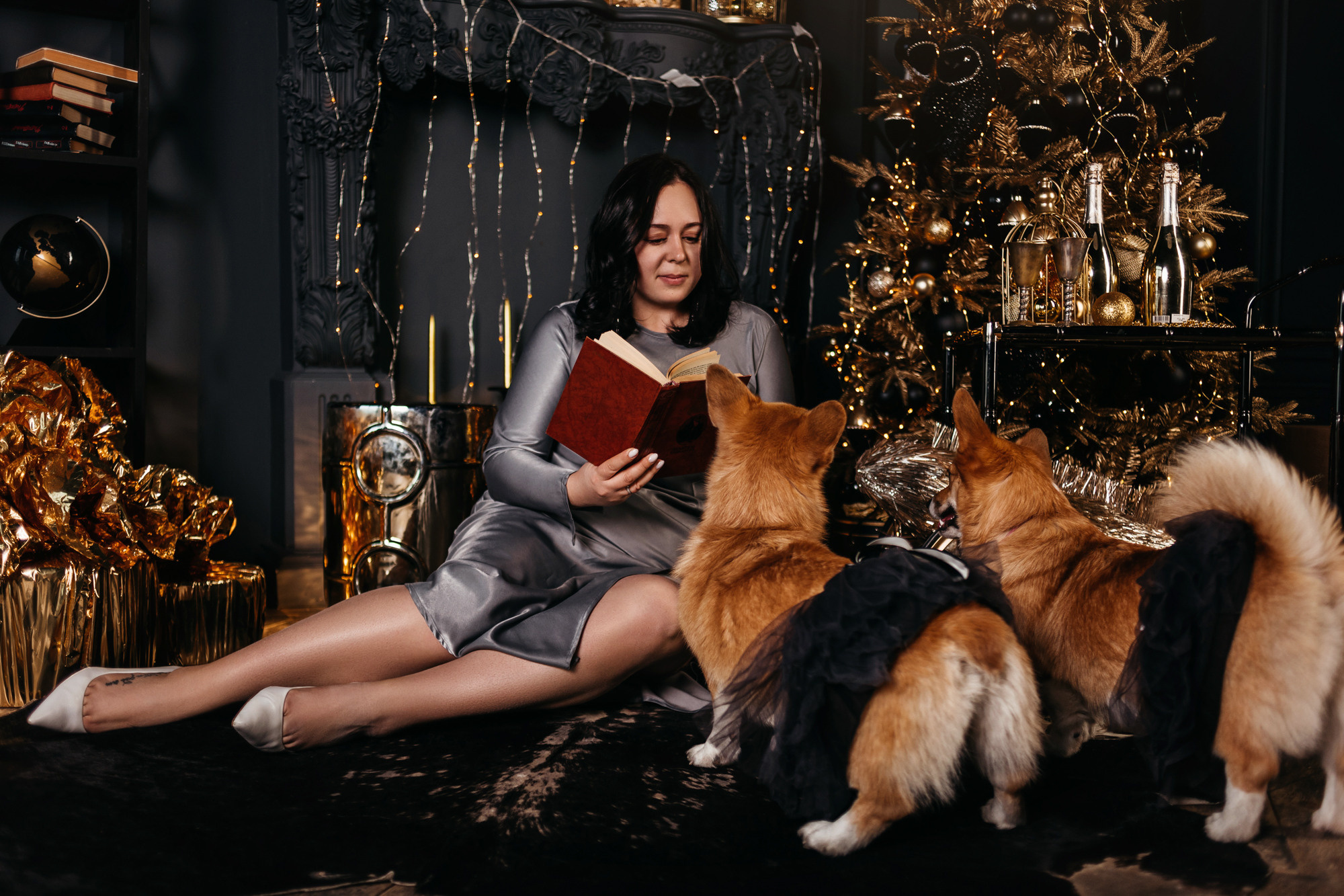 Даша, Мася и Бэси. Фотограф-анималист Елена Радченко, Москва