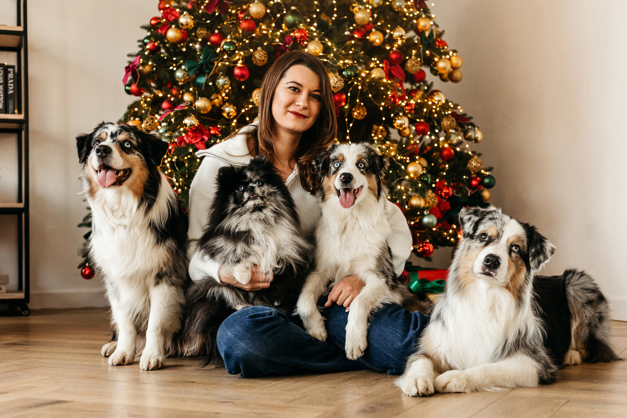 Настя и аусси. Фотограф-анималист Елена Радченко, Москва