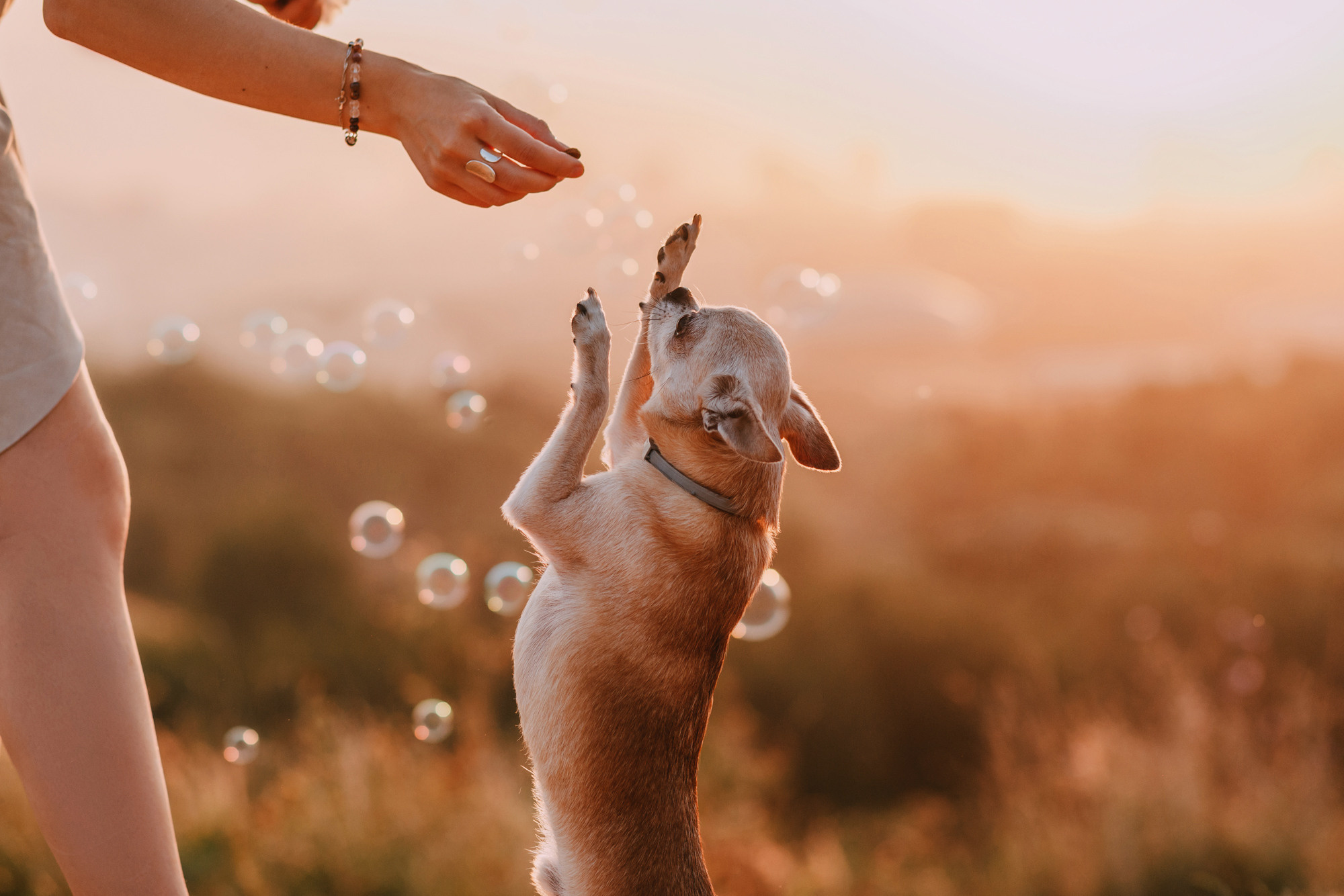 Наталья, Курт и Джуля. Фотограф-анималист Елена Радченко, Москва