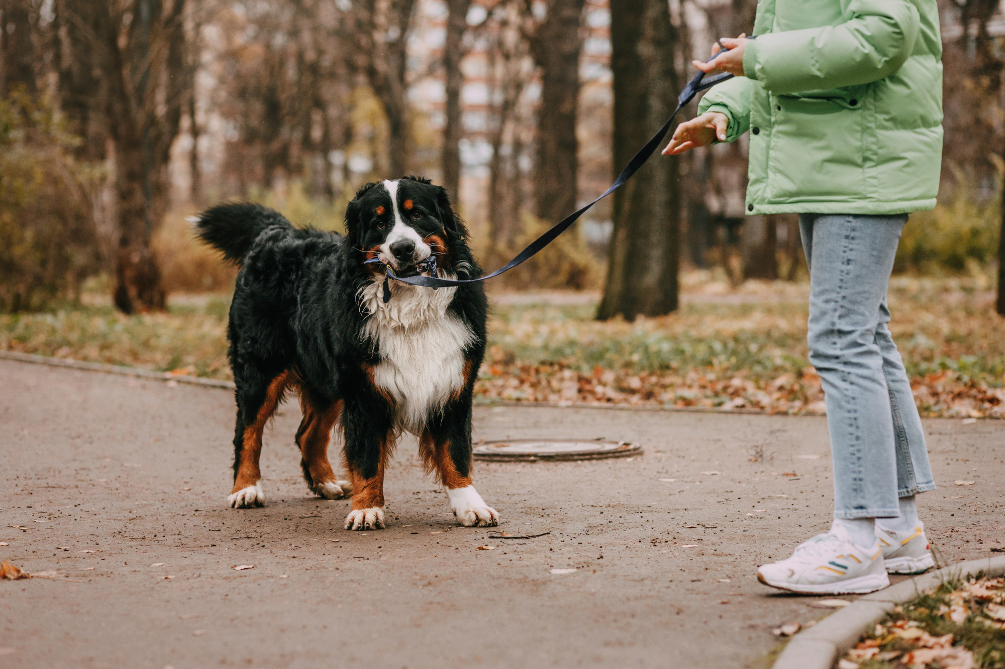Ира и Бергамот. Фотограф-анималист Елена Радченко, Москва