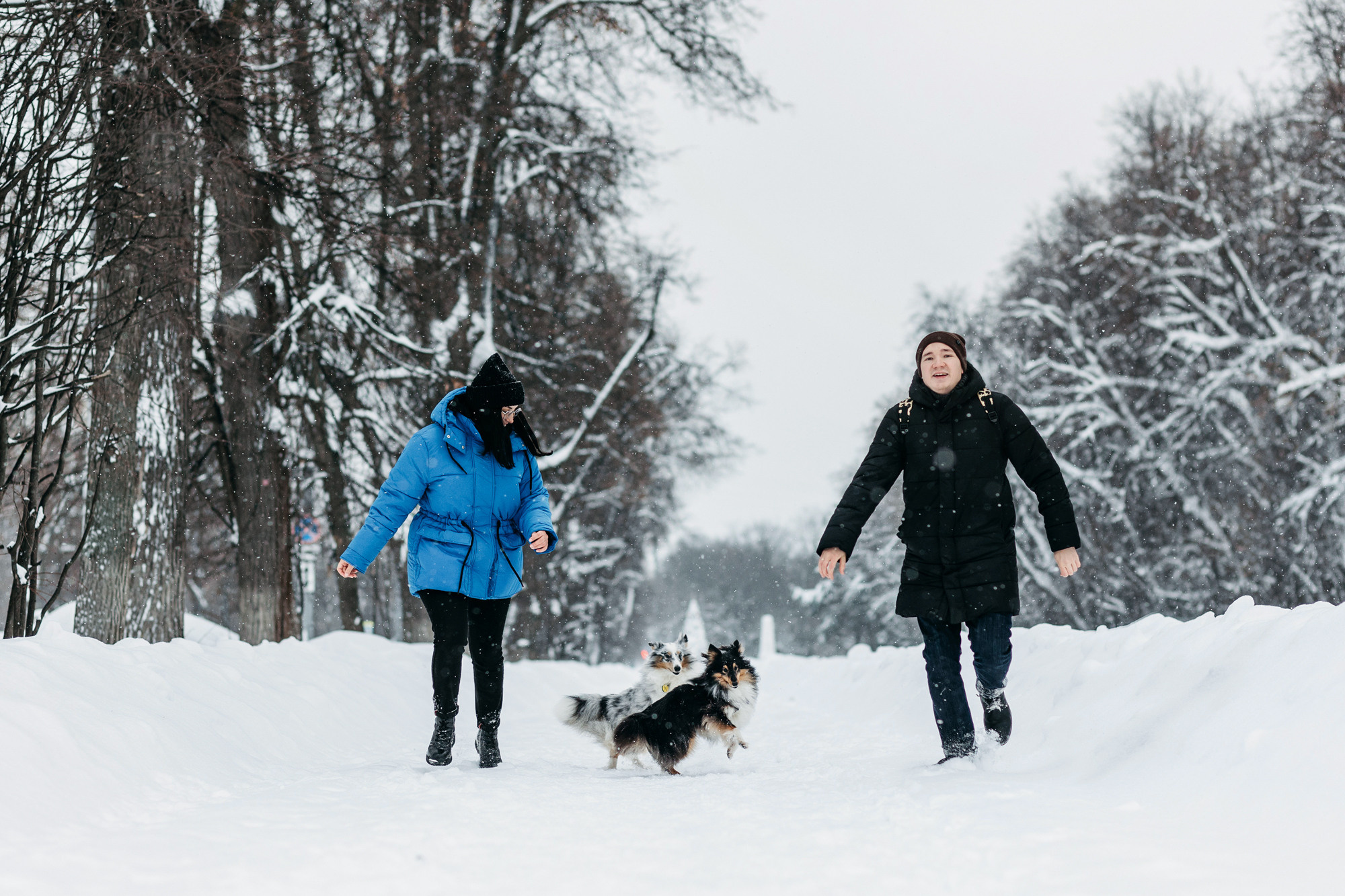 Александра, Бум и Нэвис. Фотограф-анималист Елена Радченко, Москва