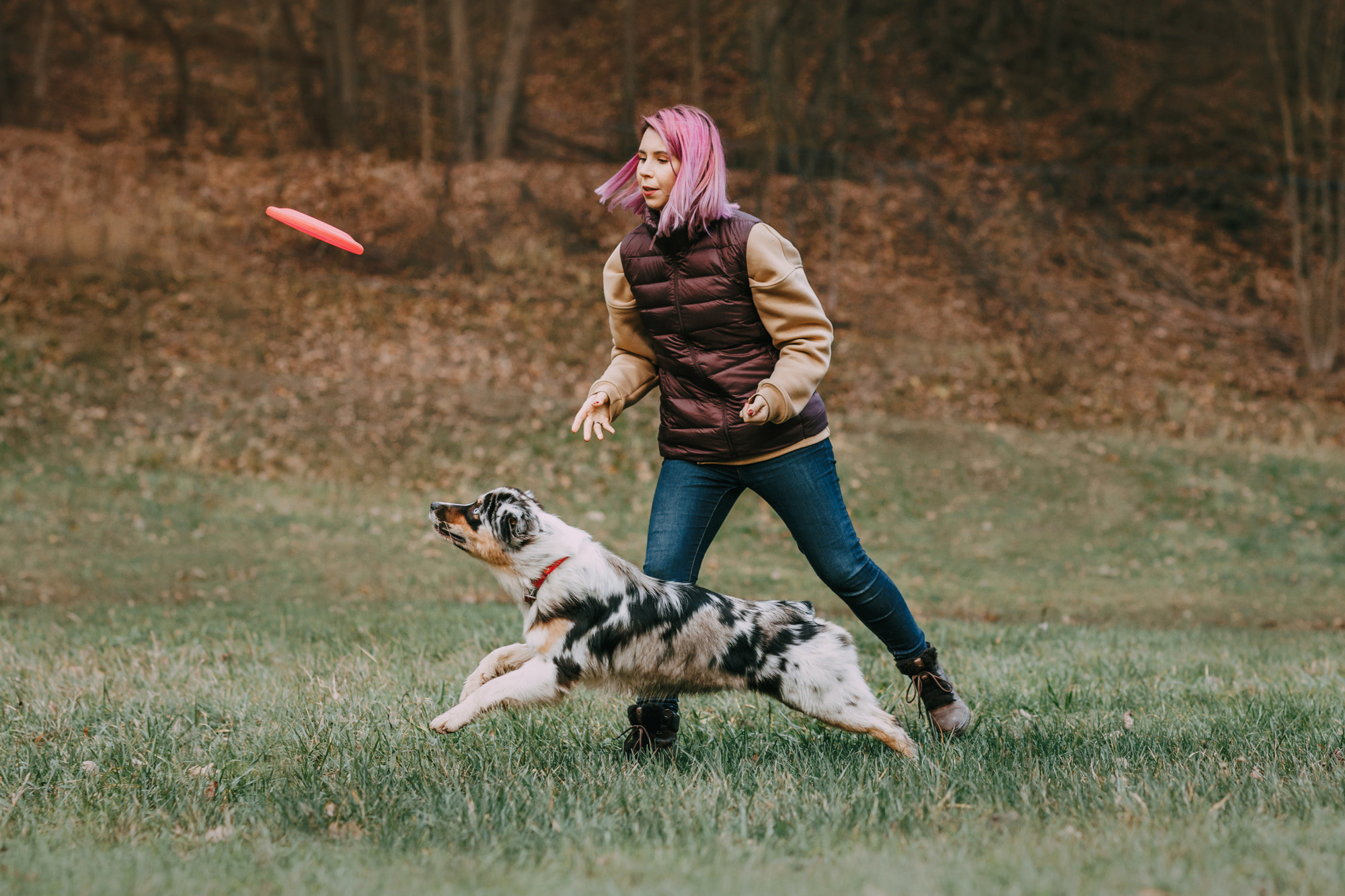 Анна, Чарли и Ева. Фотограф-анималист Елена Радченко, Москва