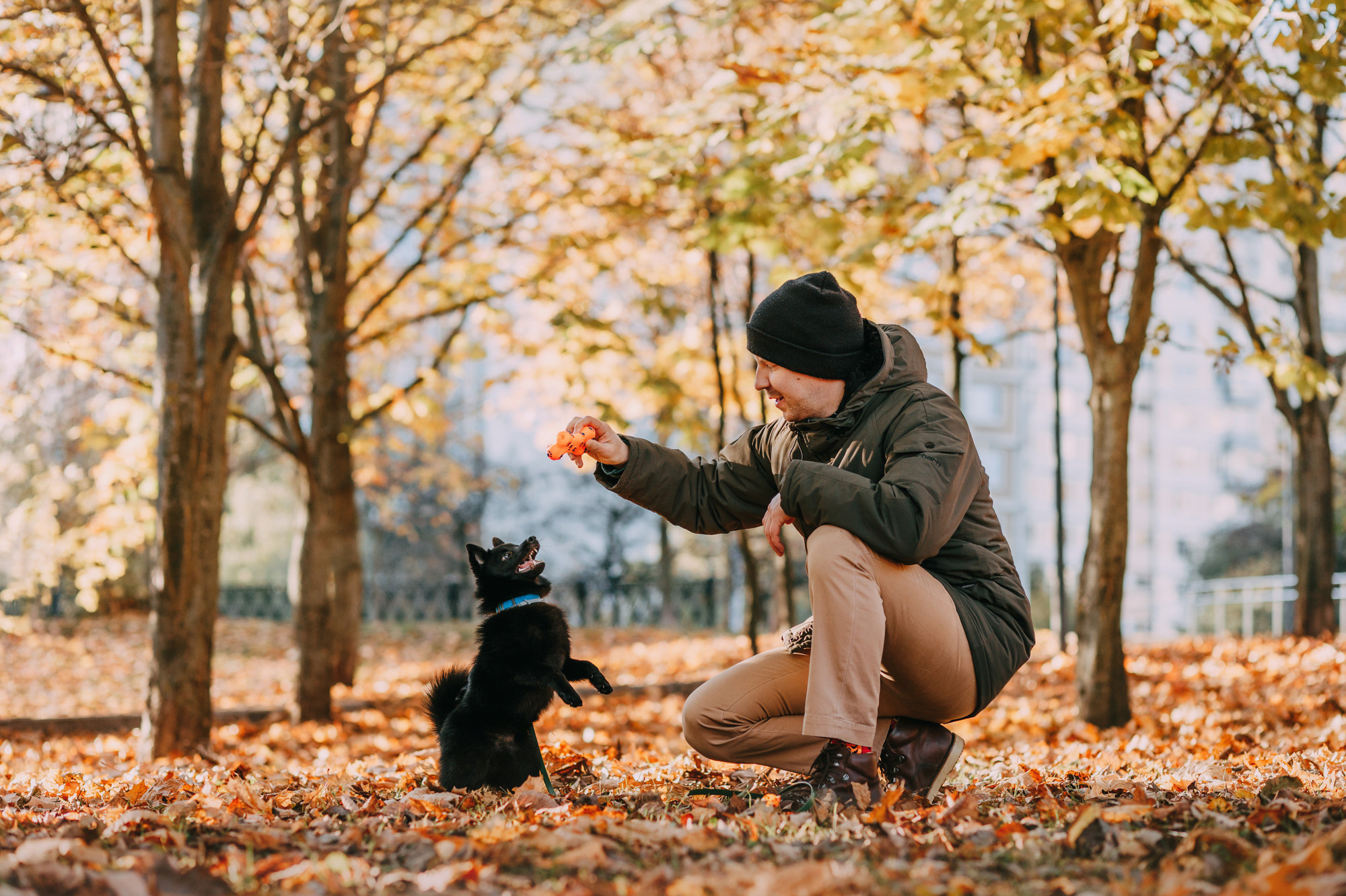 Настасья, Саша и Рокки. Фотограф-анималист Елена Радченко, Москва