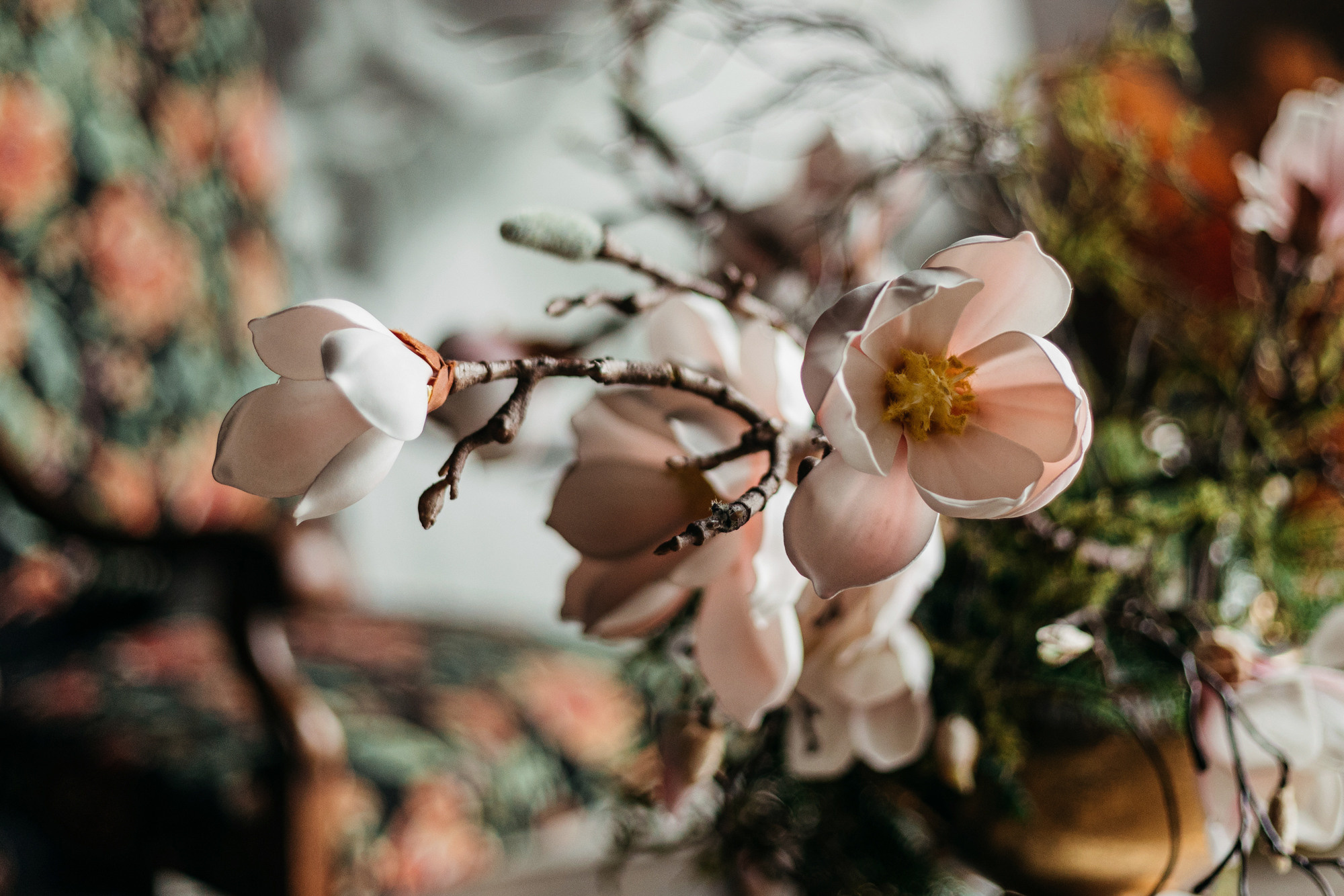 Даша, Мася и Бэси. Фотограф-анималист Елена Радченко, Москва