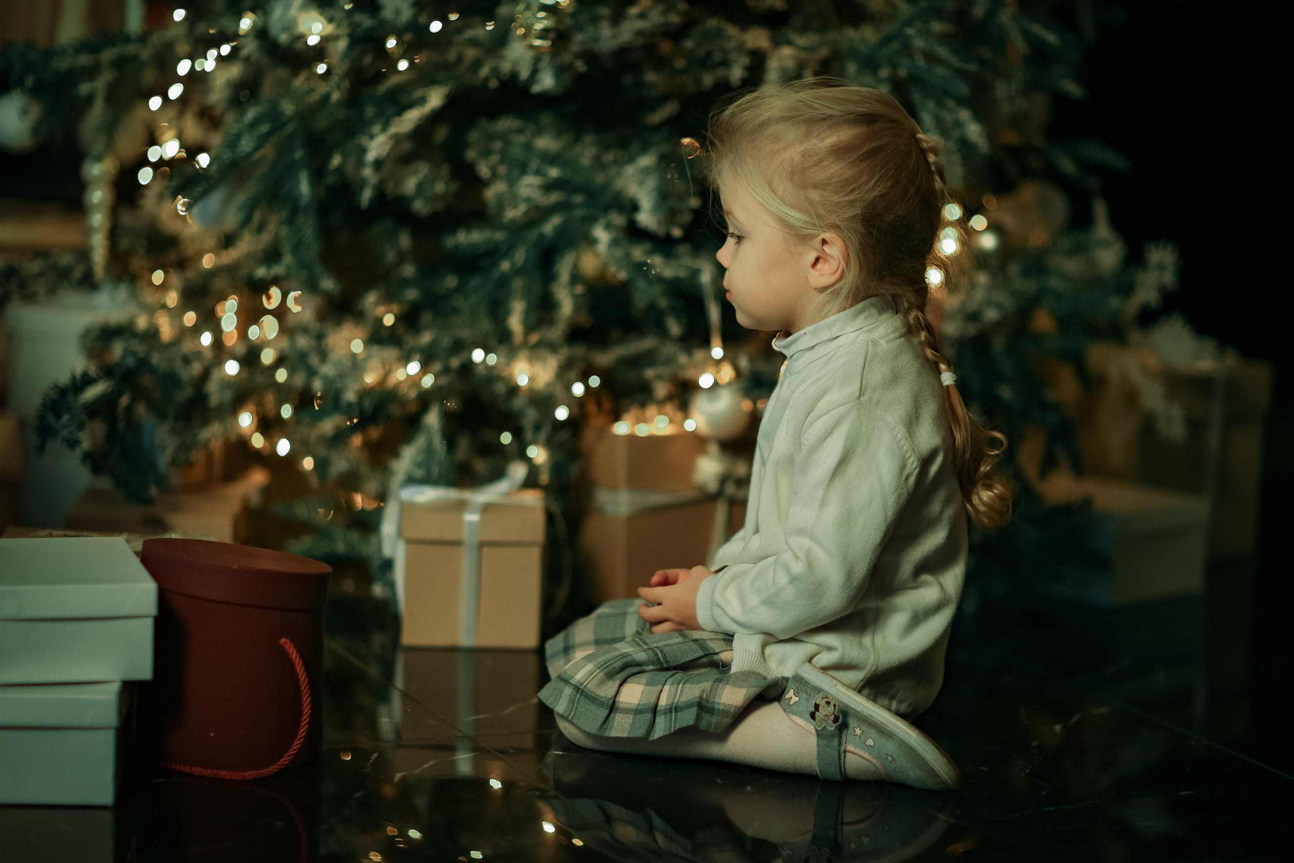Новогодние фотосессии в студии и дома. Профессиональный фотограф в Москве, Подмосковье
