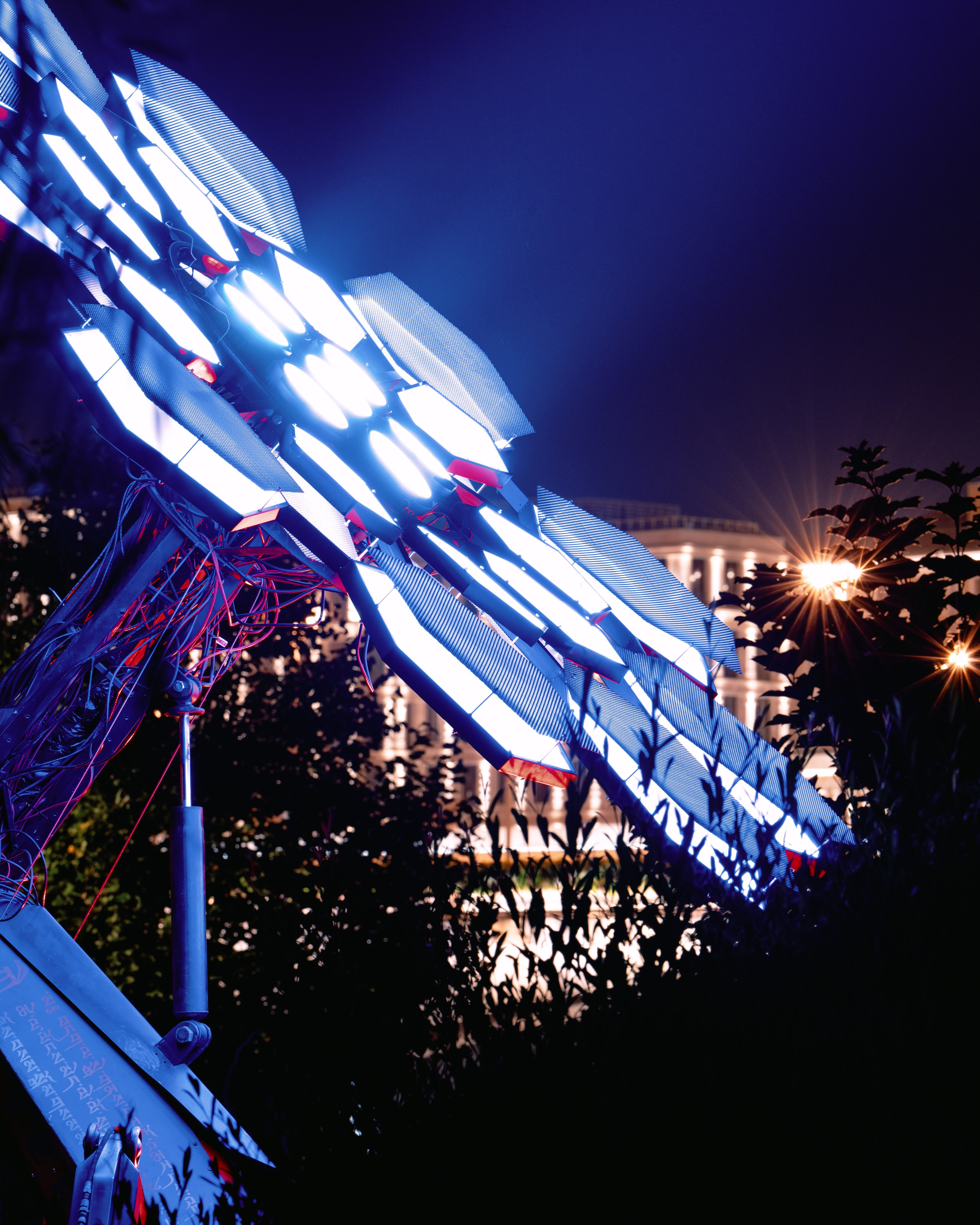 PANTERRA, Cyber Flower. @tomrus: Рустам Шагиморданов — фотограф