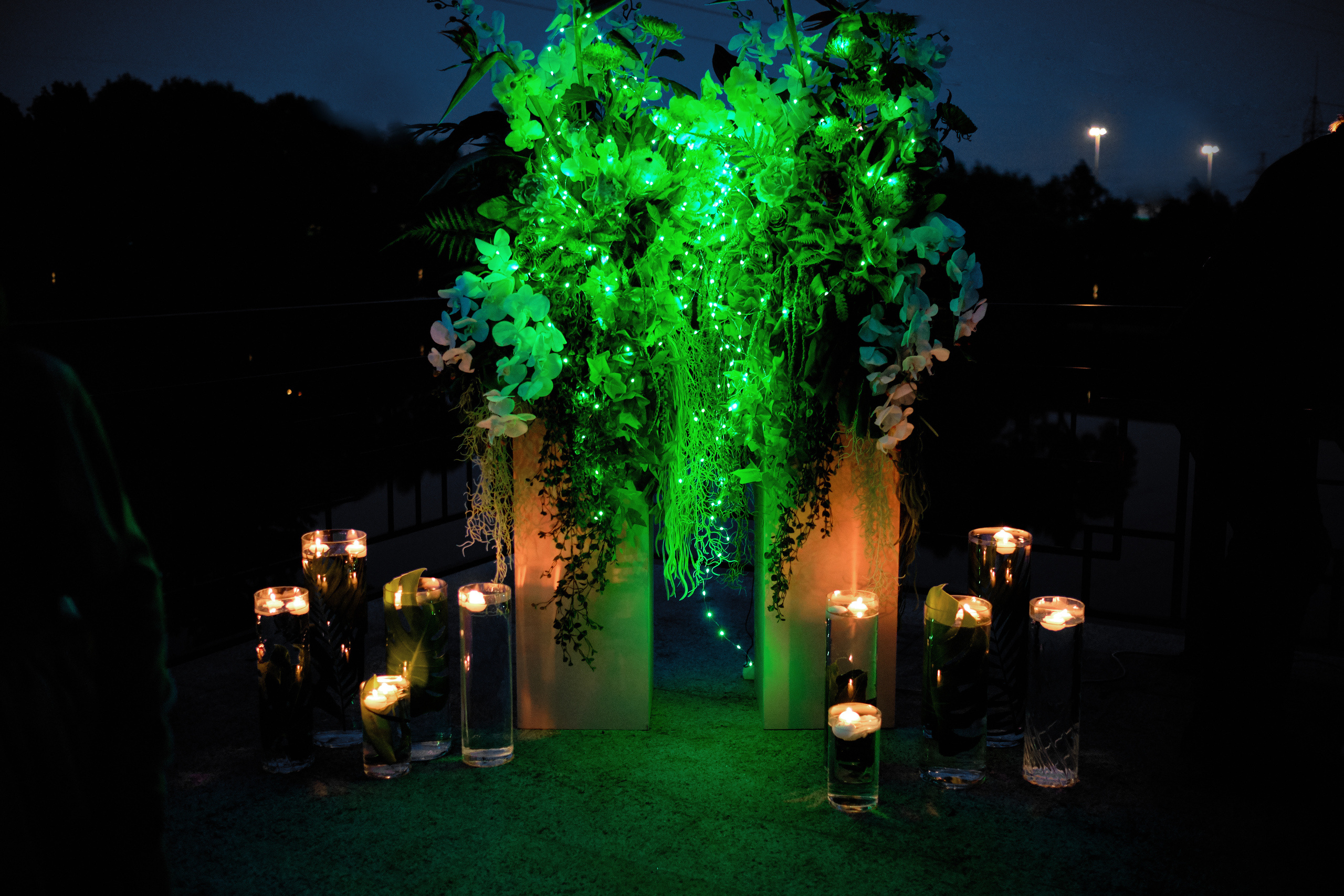 Александр и Надежда. Свадебный и семейный фотограф Москва, Звенигород, Одинцово, Можайск,