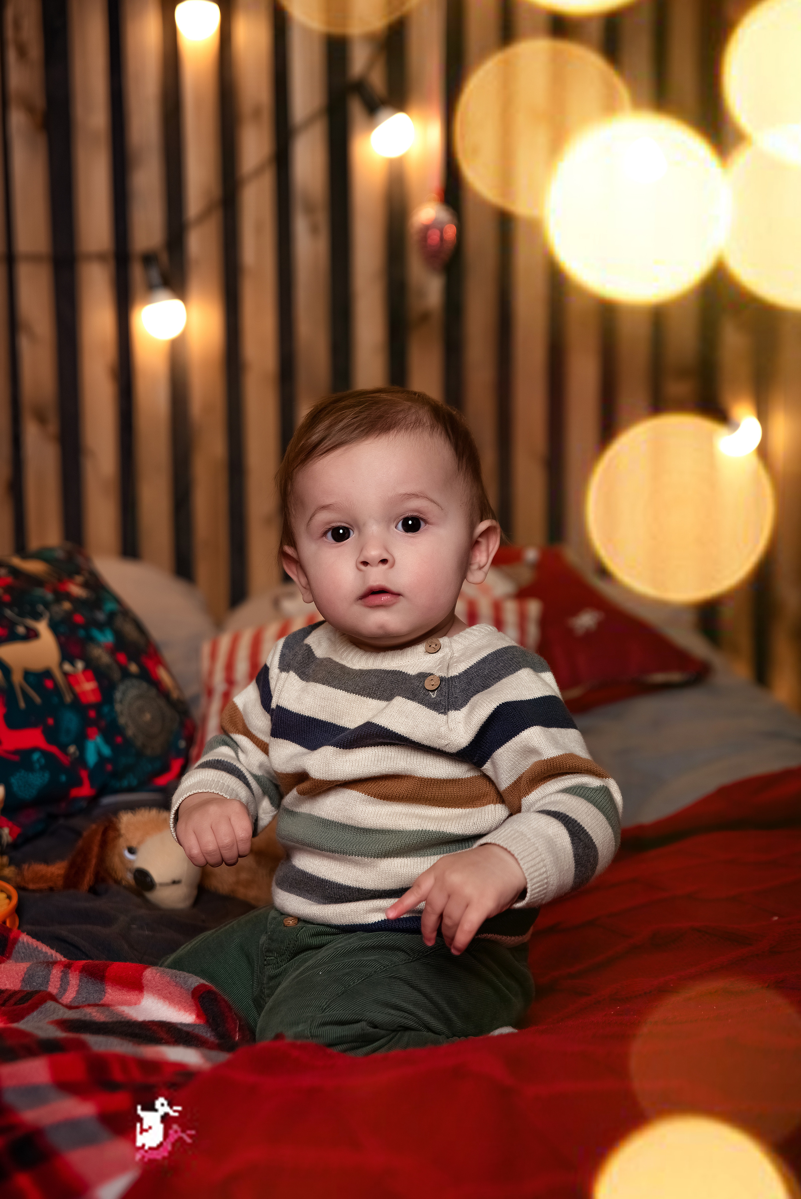 МАША И МАРК. Семейный Фотограф в Туле Юлия Федотова