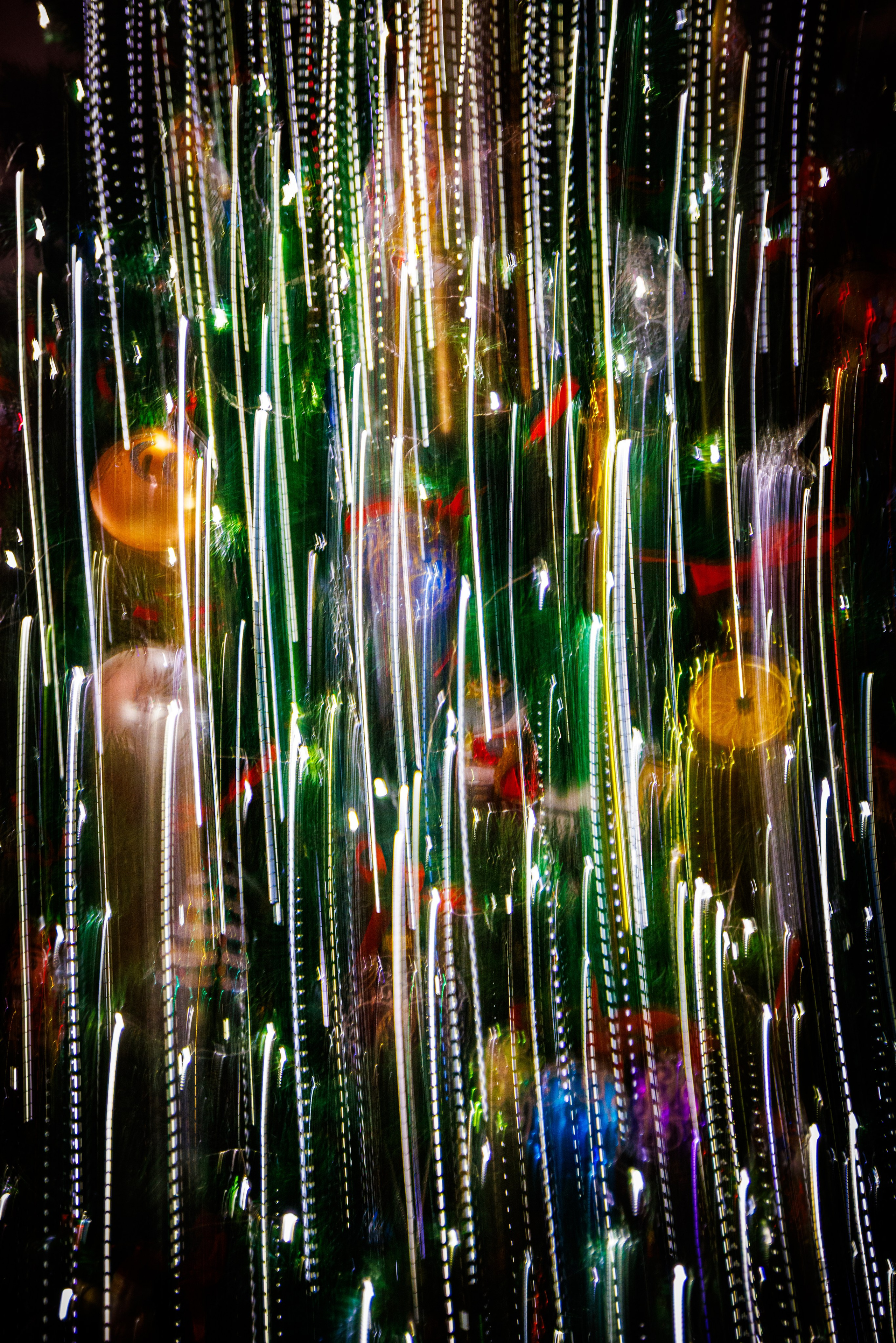 Природа 31 Декабря 2025 года. Клены. Фотографирую жизнь! Московский фотограф волонтер