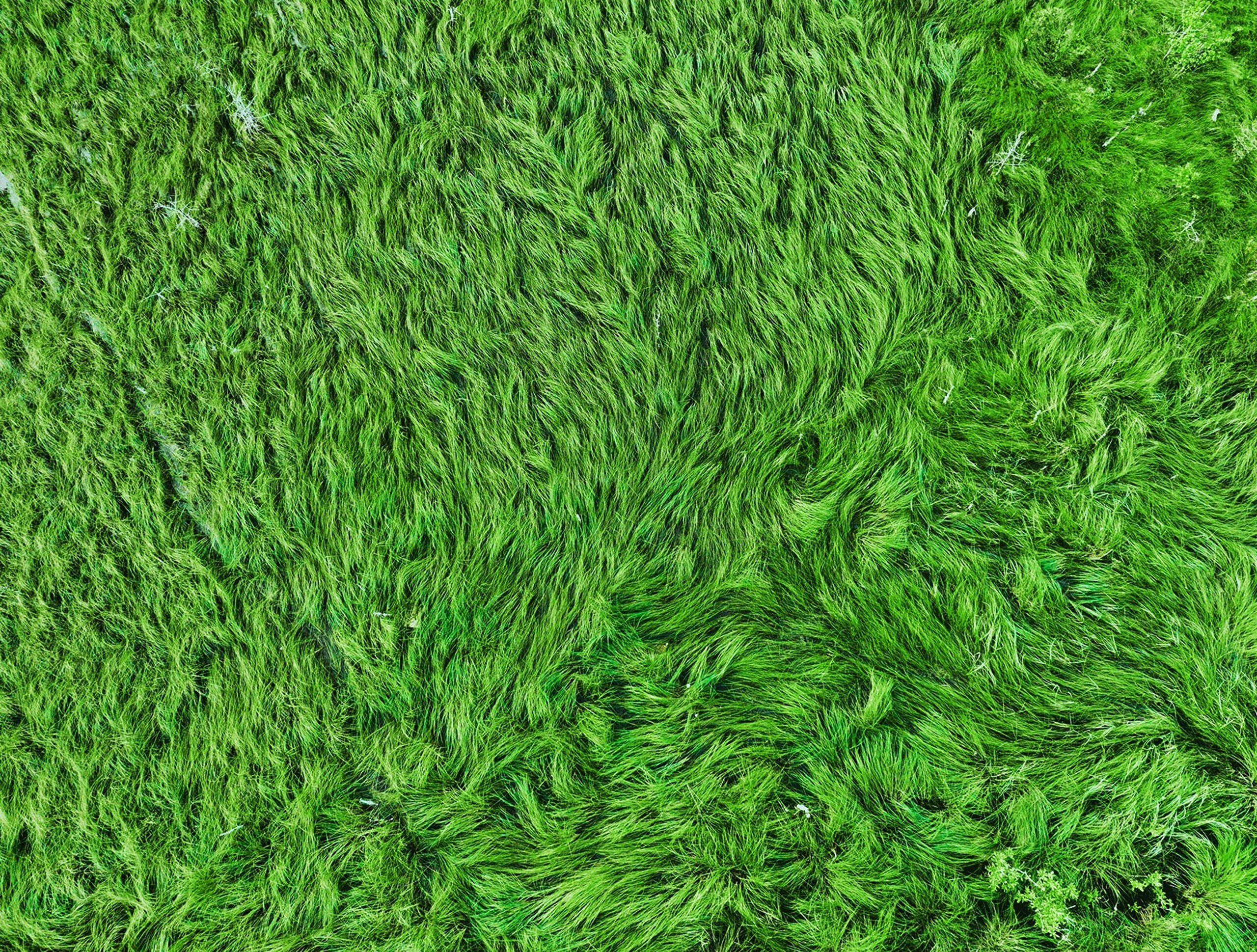 Карельский Перешеек. Фотограф Владимир Медведев