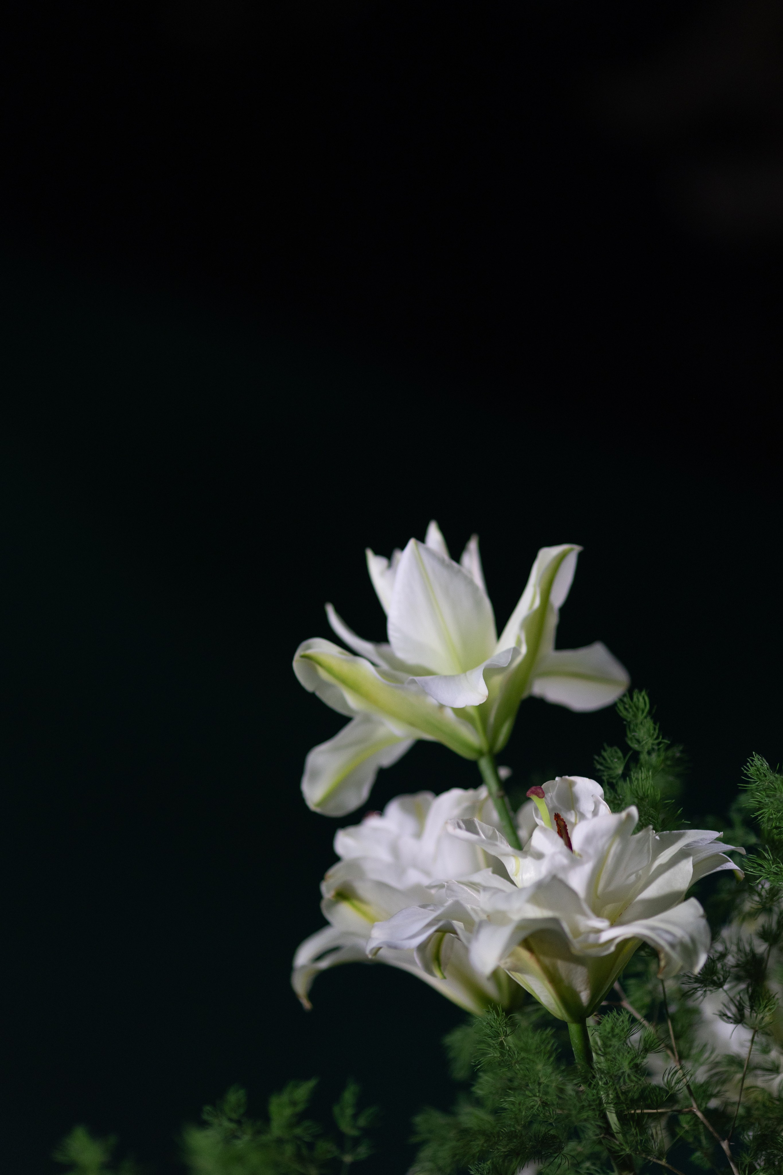 WEDDING. Свадебный фотограф Сочи Москва Дубай Снежана Магрин