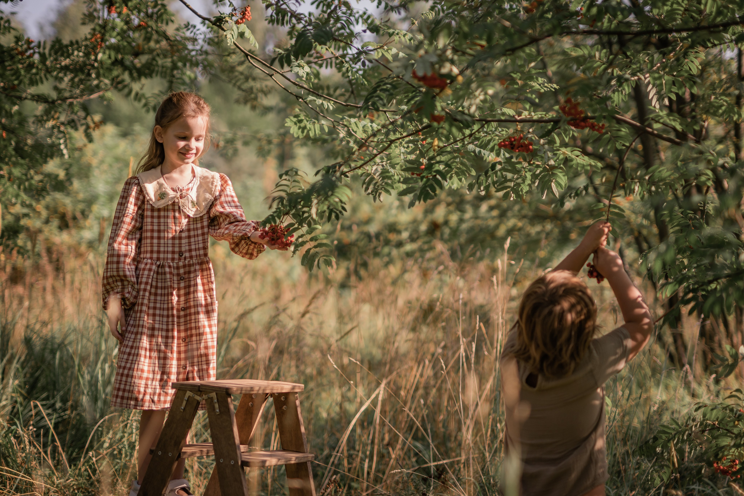 Яблочный сад. Семейный фотограф Ефремова Виктория