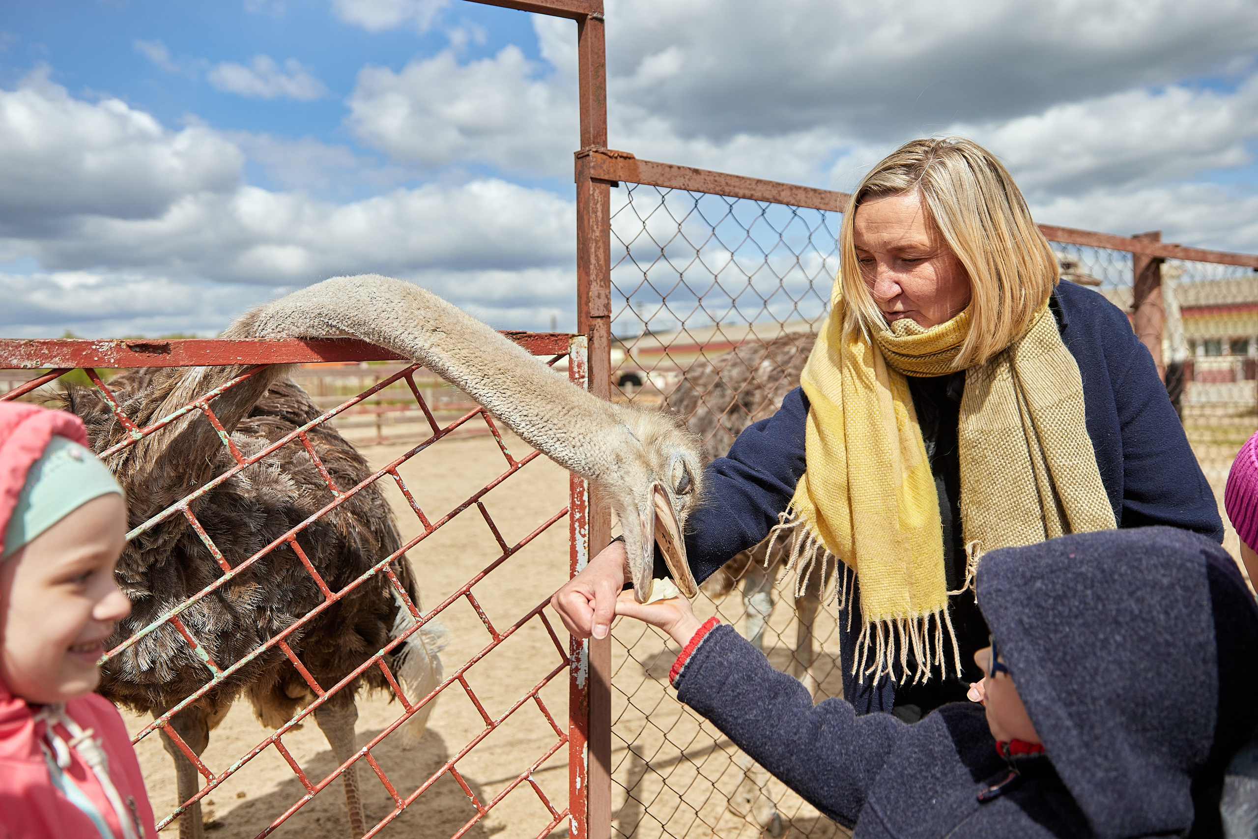 На ферме. Главная