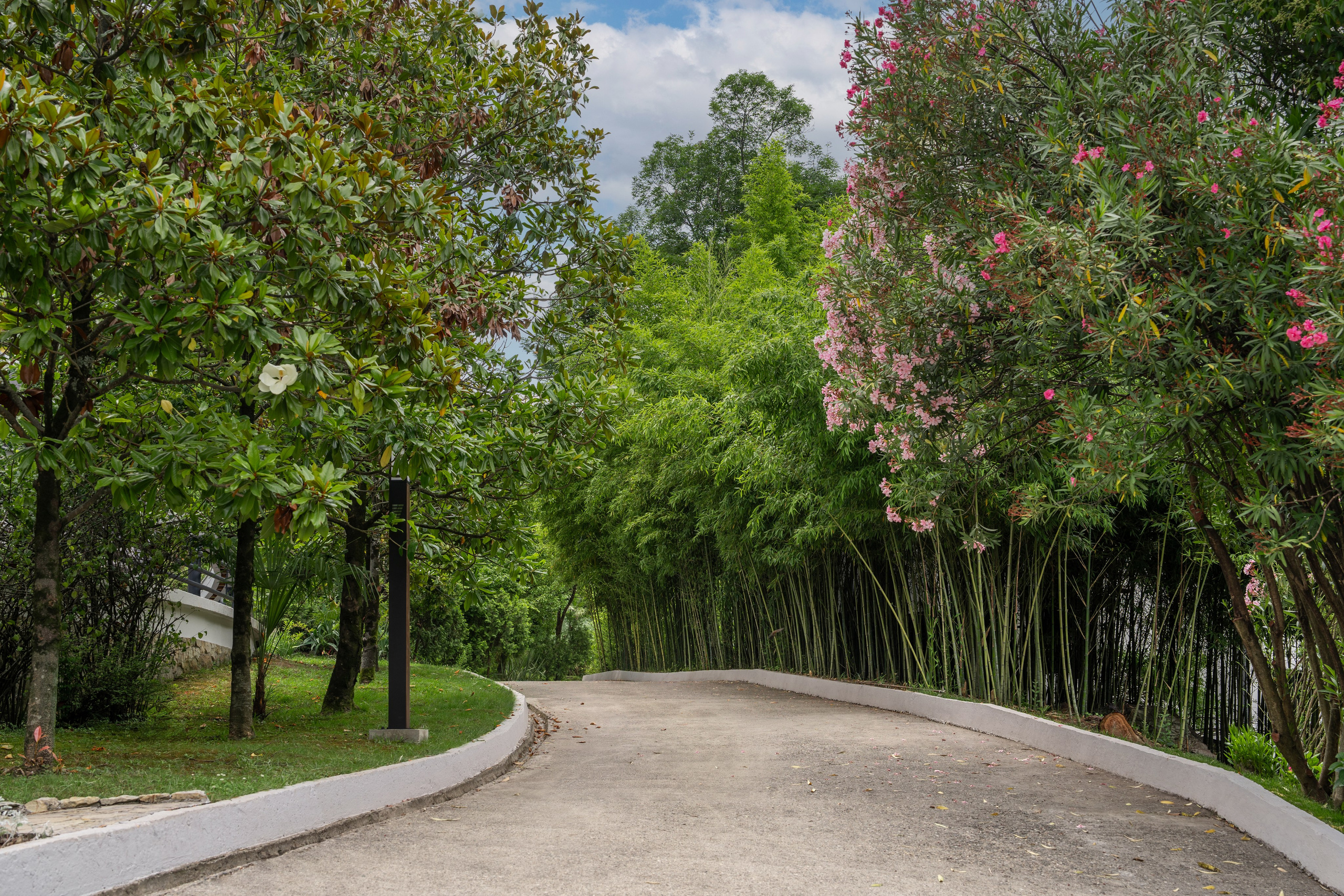 Сокол. Отельный интерьерный фотограф Сочи