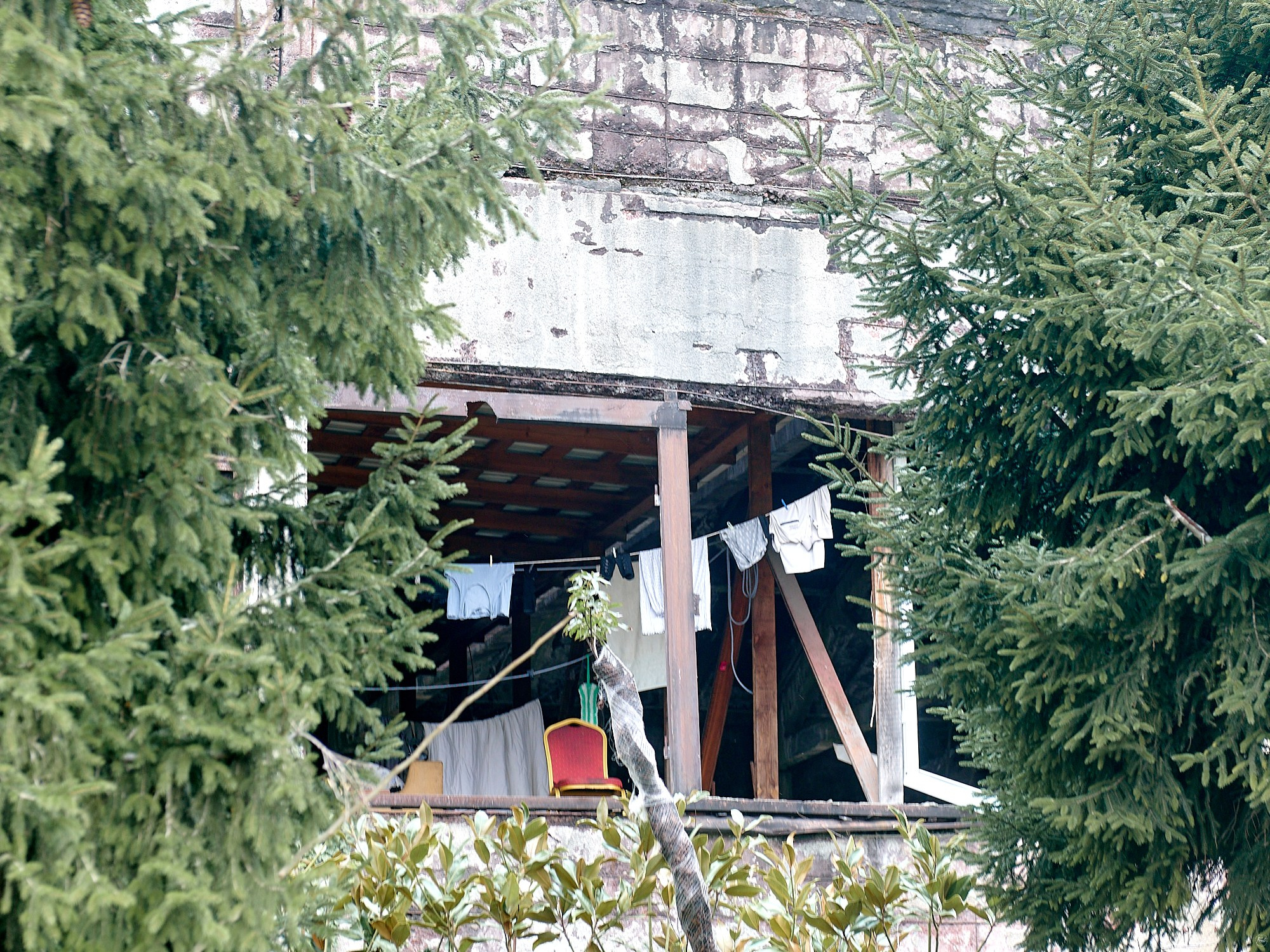 Гагра, Абхазия. Декабрь 2024. Фотографии отовсюду и обо всем