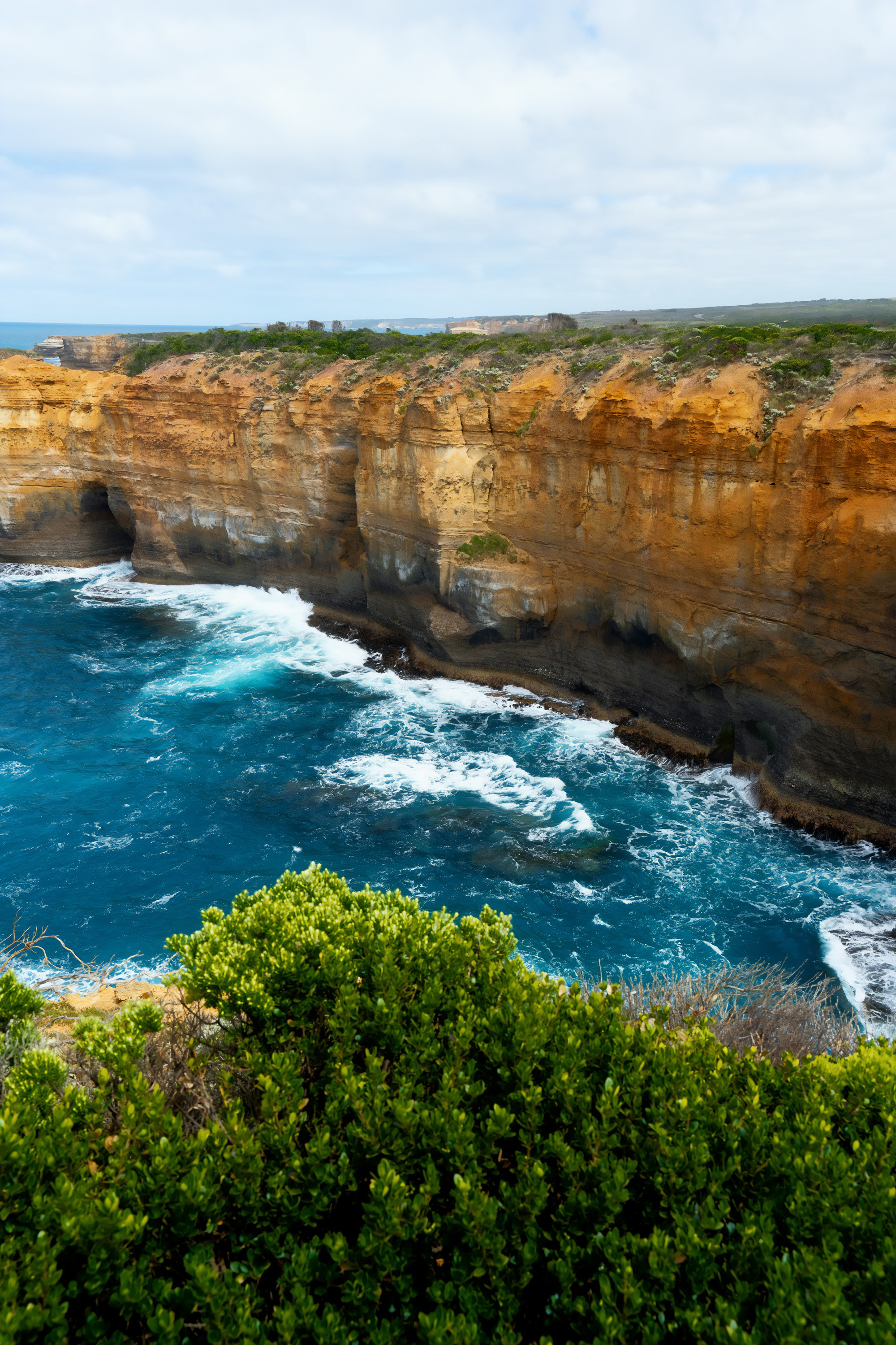 Австралия. Фотограф в Хабаровске. Фотография за 24 часа