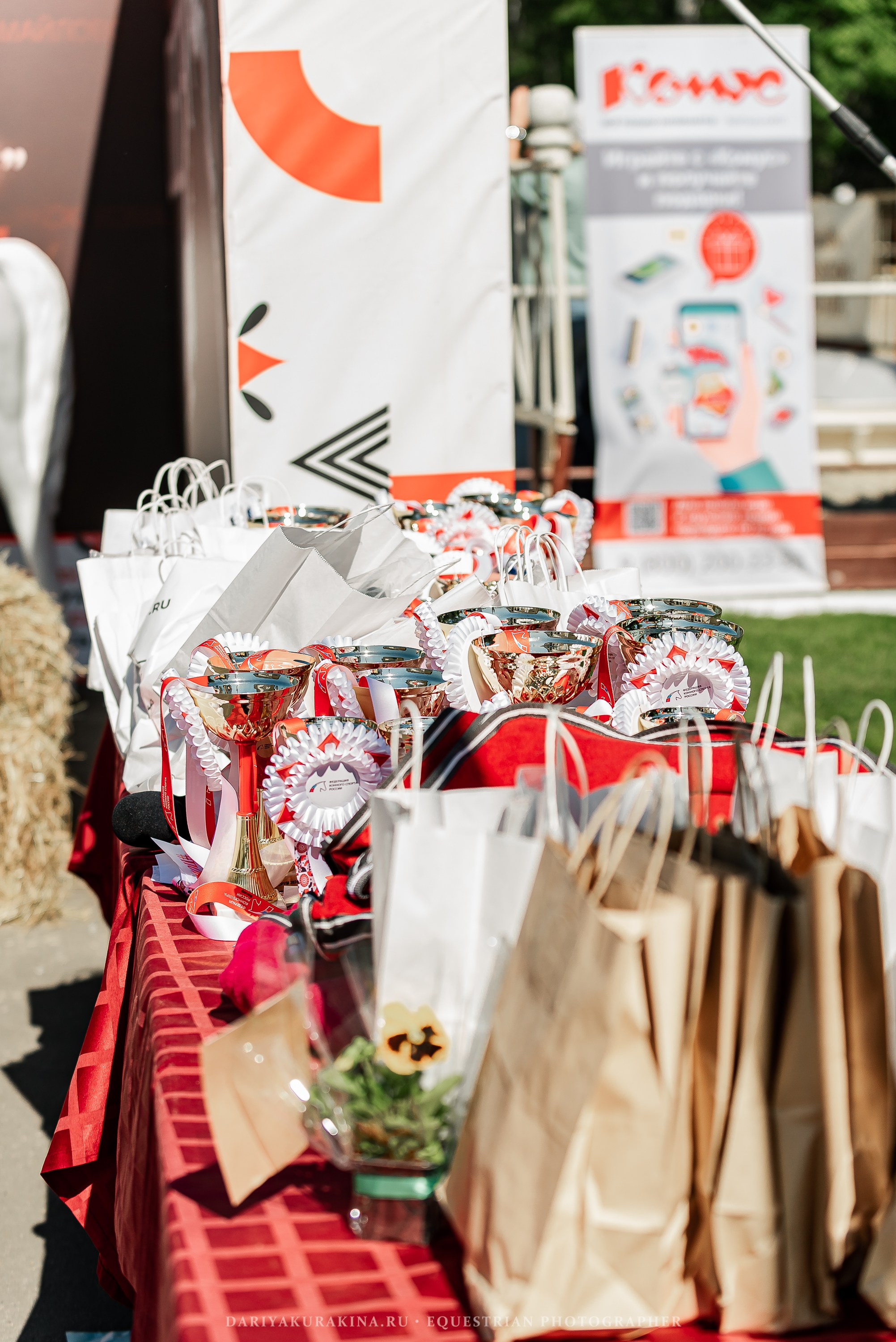 #ПОНИФОРУМ 2024. Конный фотограф Куракина Дарья • Фотосессии с лошадьми