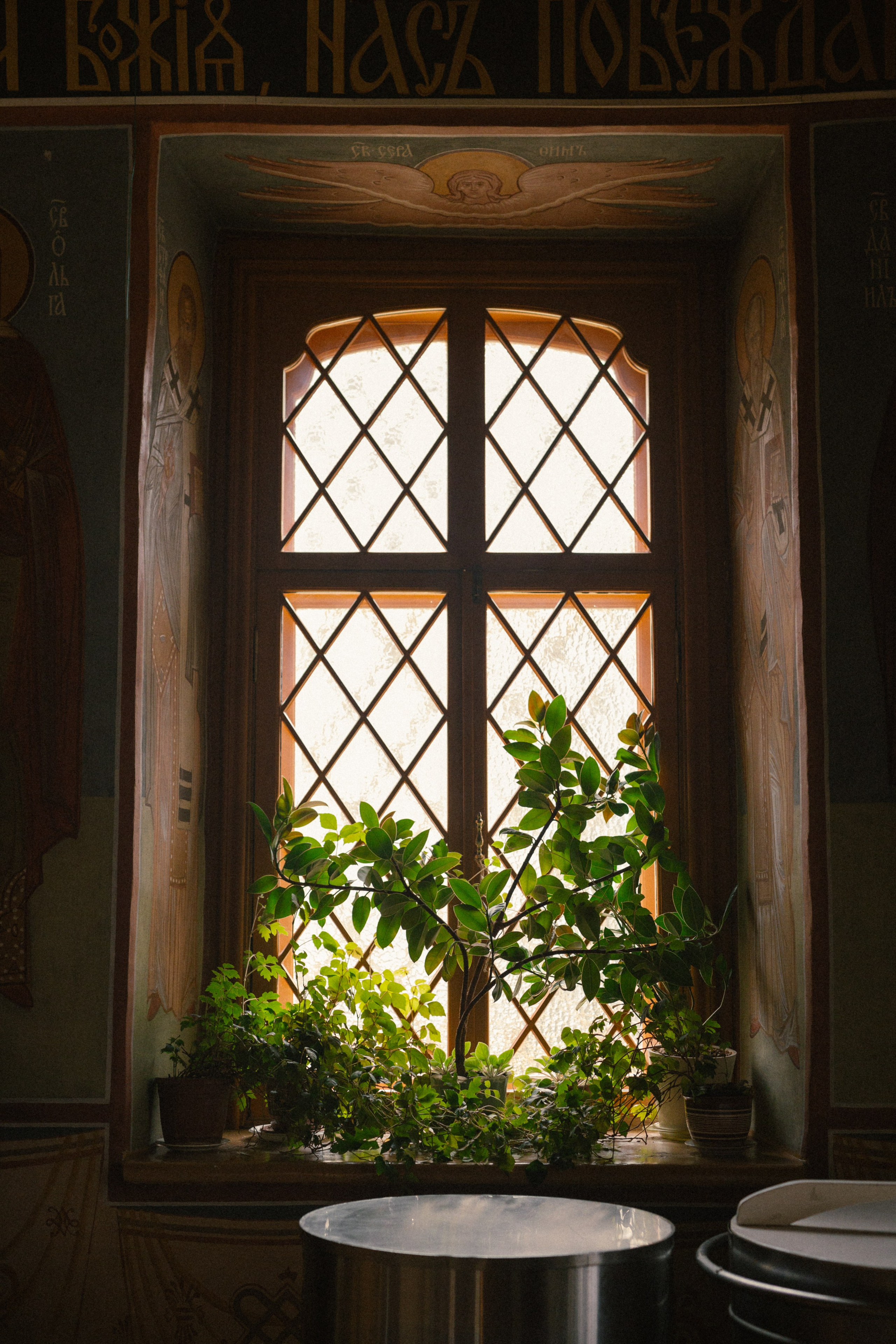 Золотая осень. Варвара Синицына: семейный фотограф в Москве