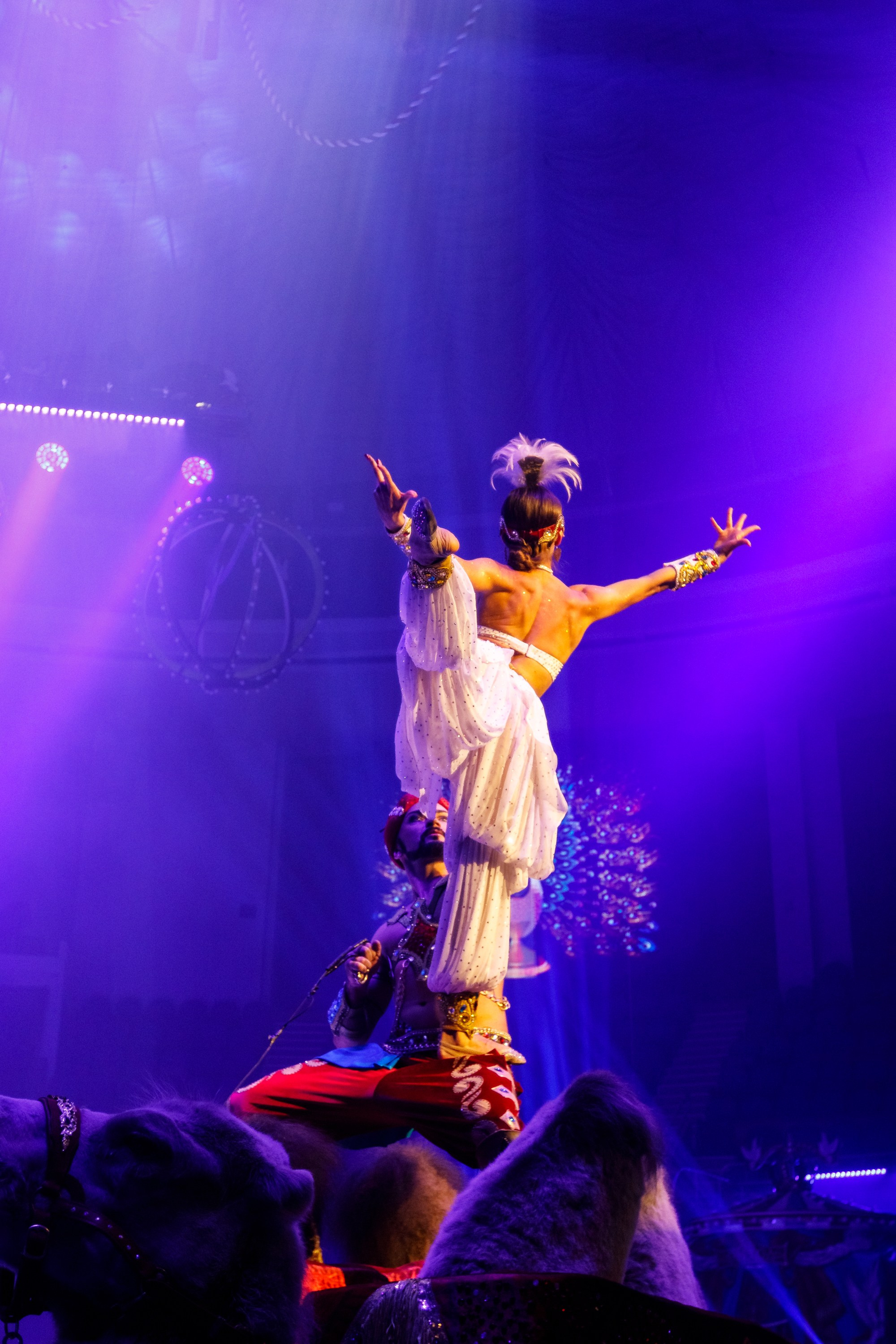 Сочинский росгорцирк Шоу Гии Эрадзе цирк. Профессиональный фотограф в Сочи Виктория Джой. Обучение