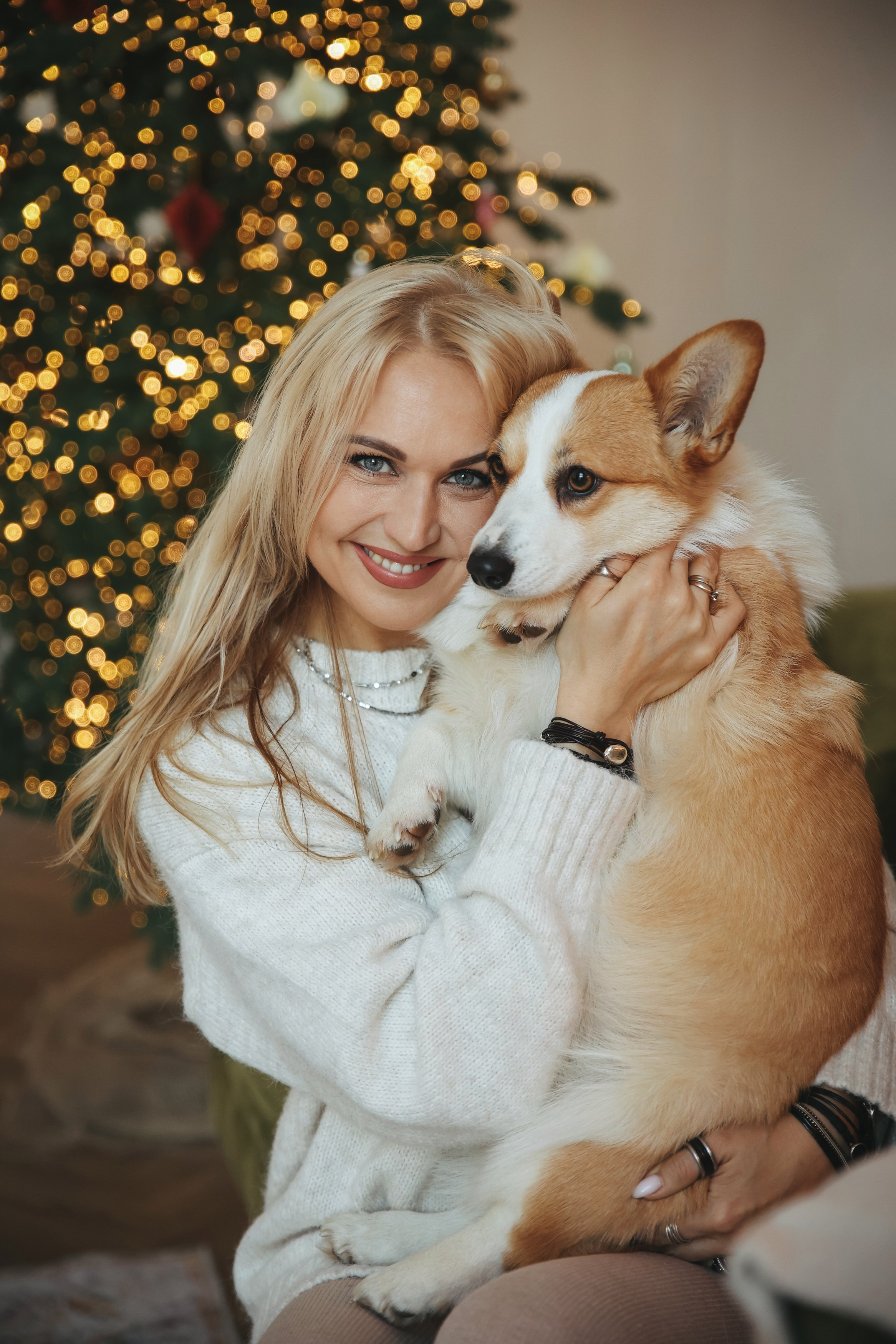 Новогодняя фотосессия во Владимире съемка на новый год фотосессия в студии фотограф во Владимире фотограф в Москве корги. Фотограф Владимир Москва