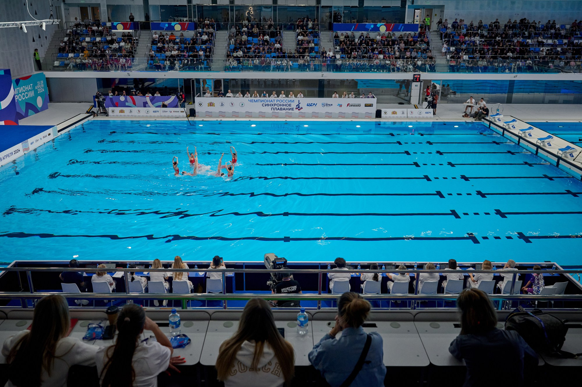 Чемпионат России Синхронное плавание 2024. Мезенцев Евгений фотограф