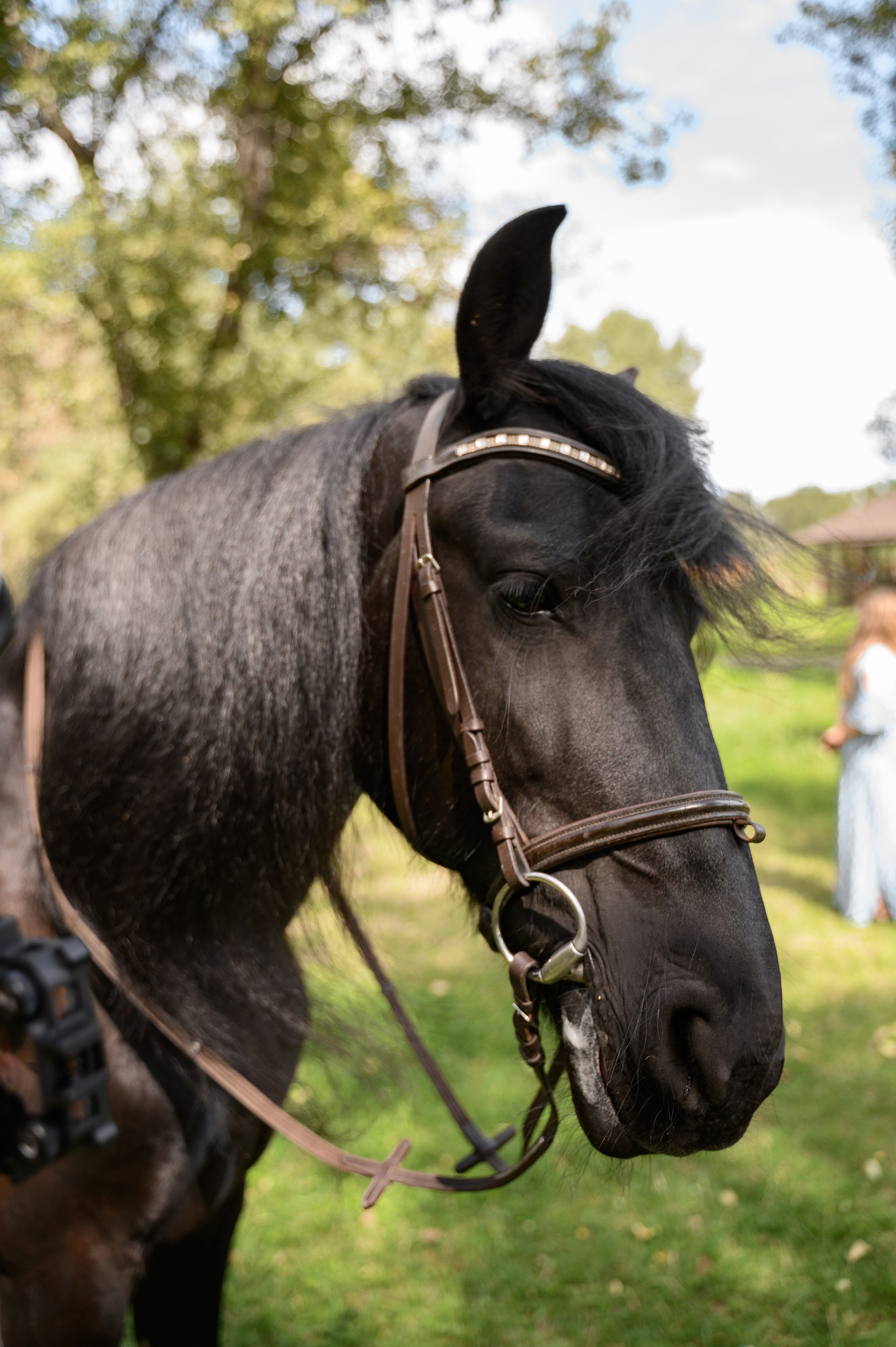 Артём и Татьяна. Свадебный и Семейный фотограф в Абакане, Красноярске