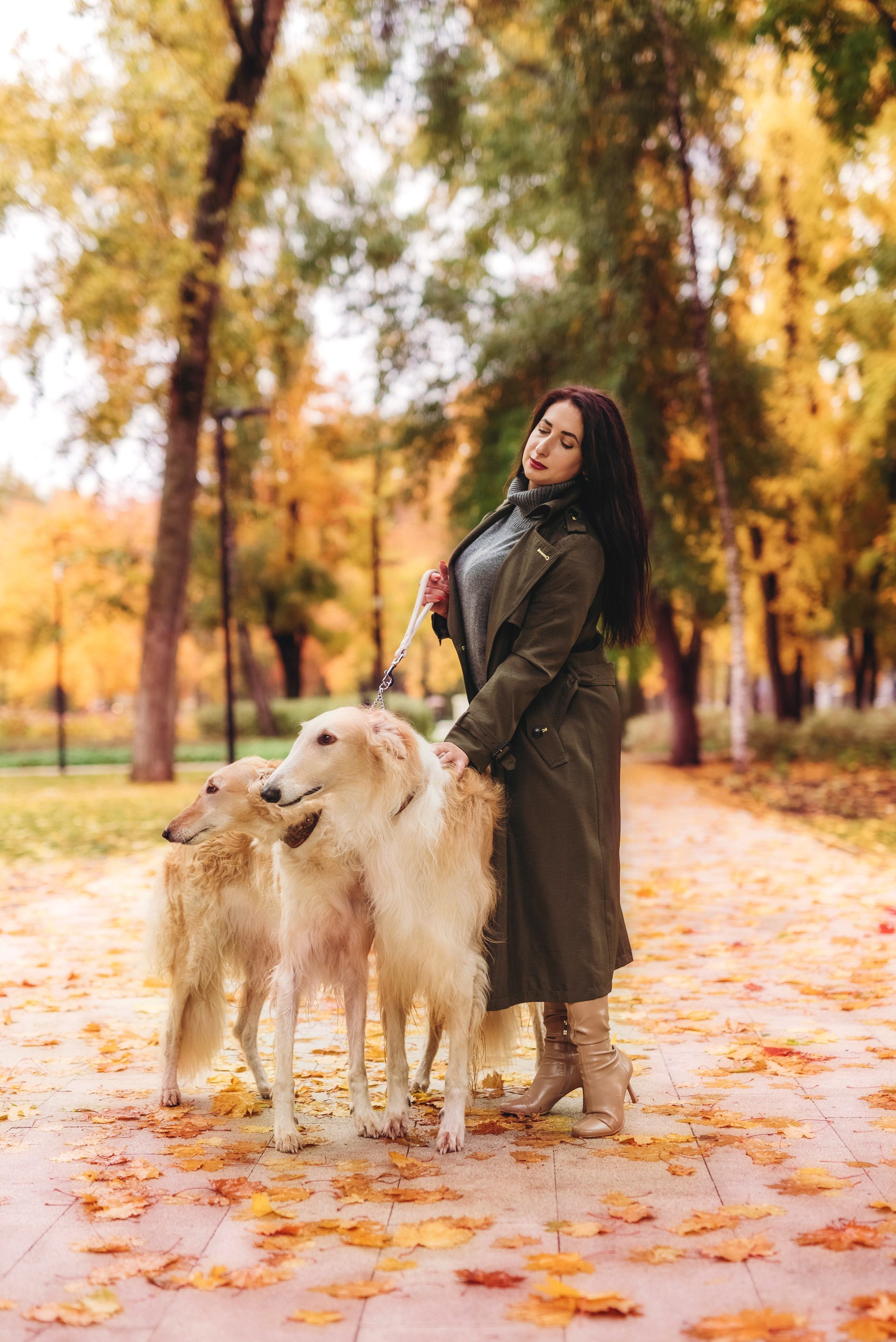 Фотосессия с борзыми. Семейный, детский фотограф в Воронеже Анна Никитина