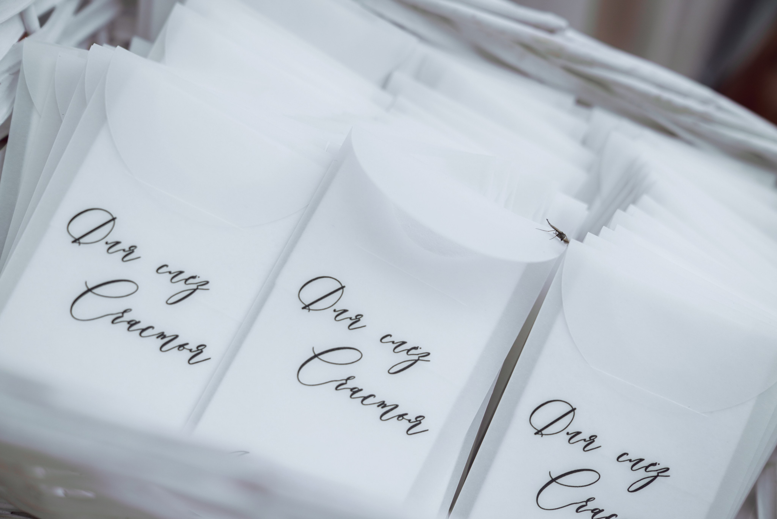 Андрей и Полина. Вечеринка. Свадебный и семейный фотограф Ястребова Маргарита