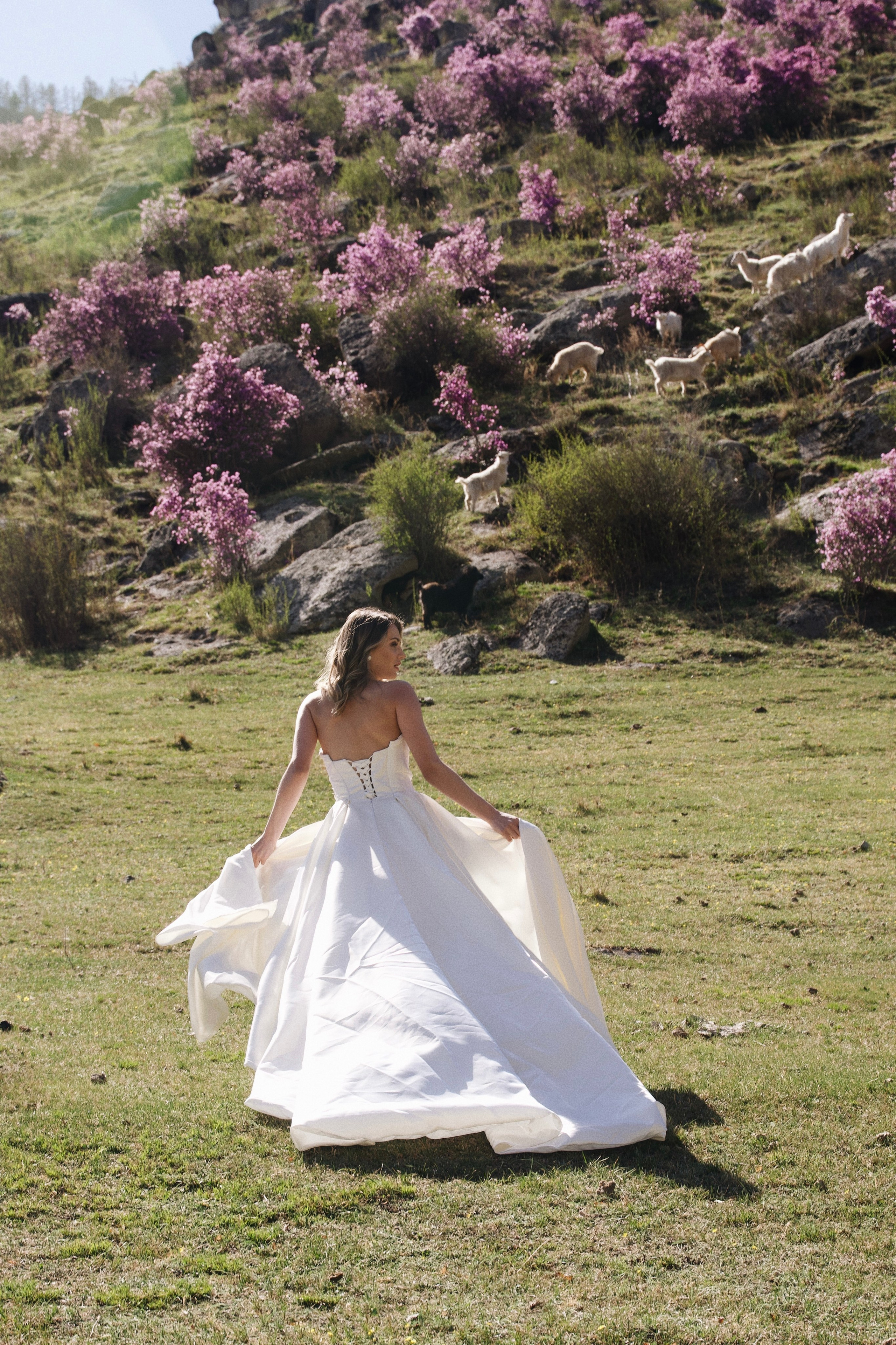 Bonfilia. Photokoval.ru