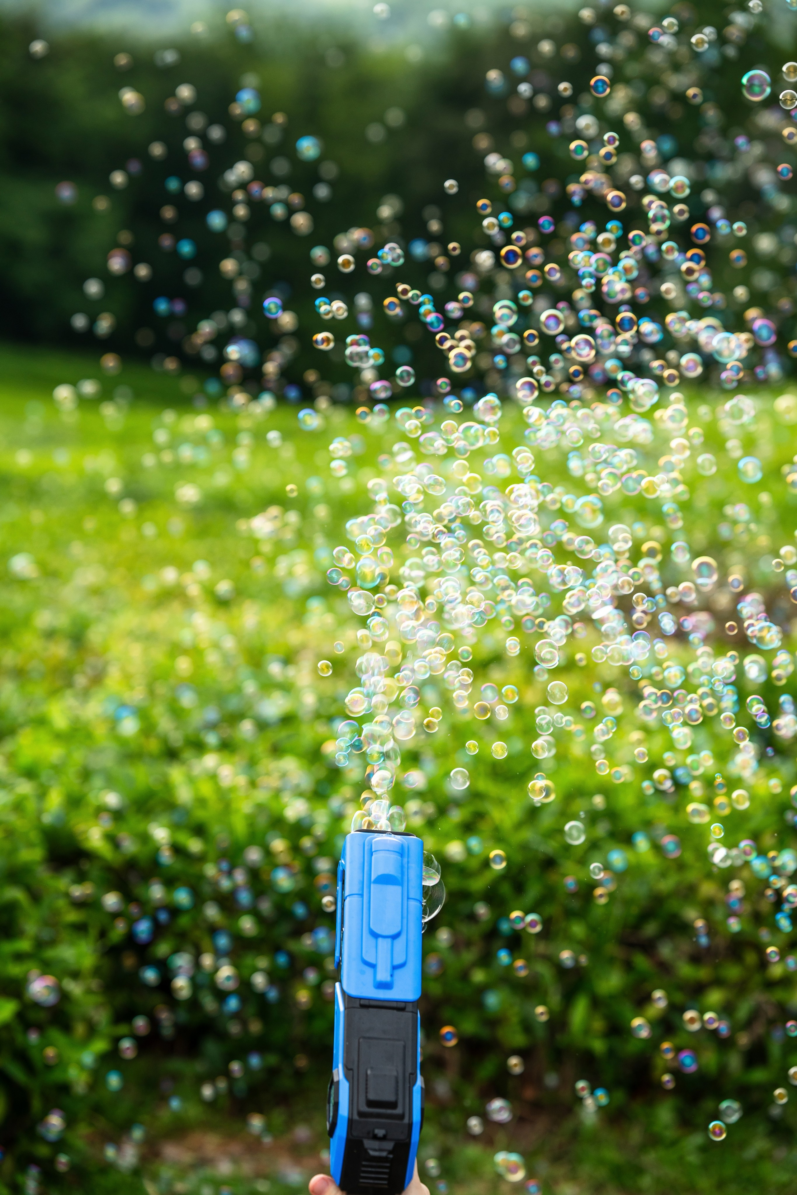 Фотограф на праздник Сочи. Фотограф Сочи