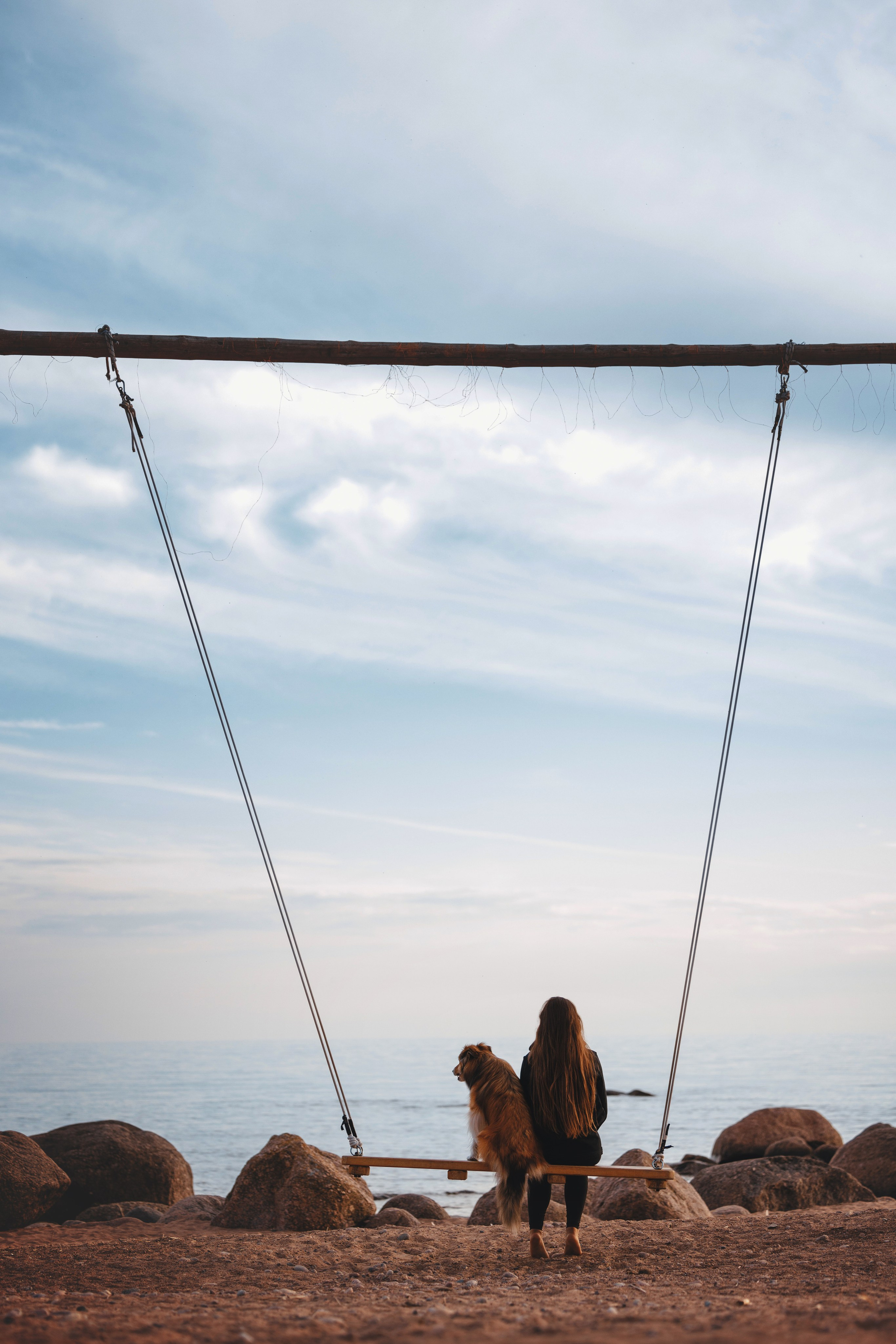 Рита, Маша и много собак. Фотограф анималист Осипчикова Мария