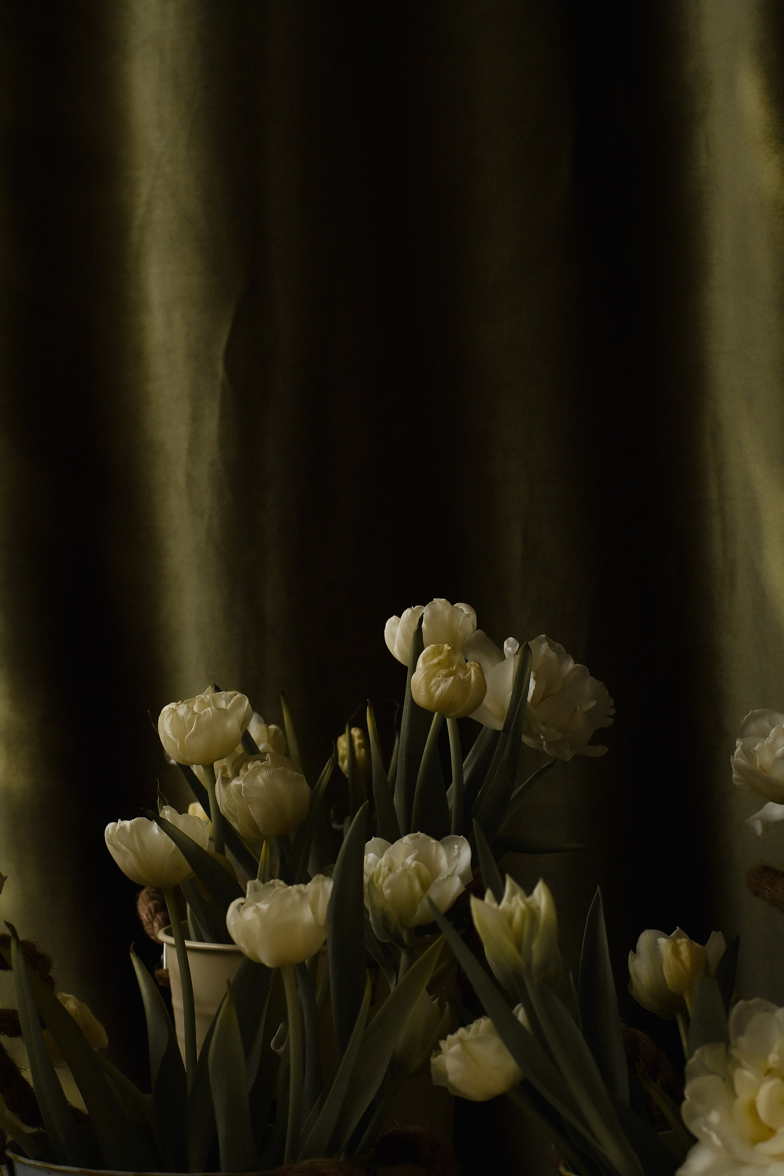 Нежность и чувства. Фотограф и видеограф Анастасия Витюкова | Екатеринбург