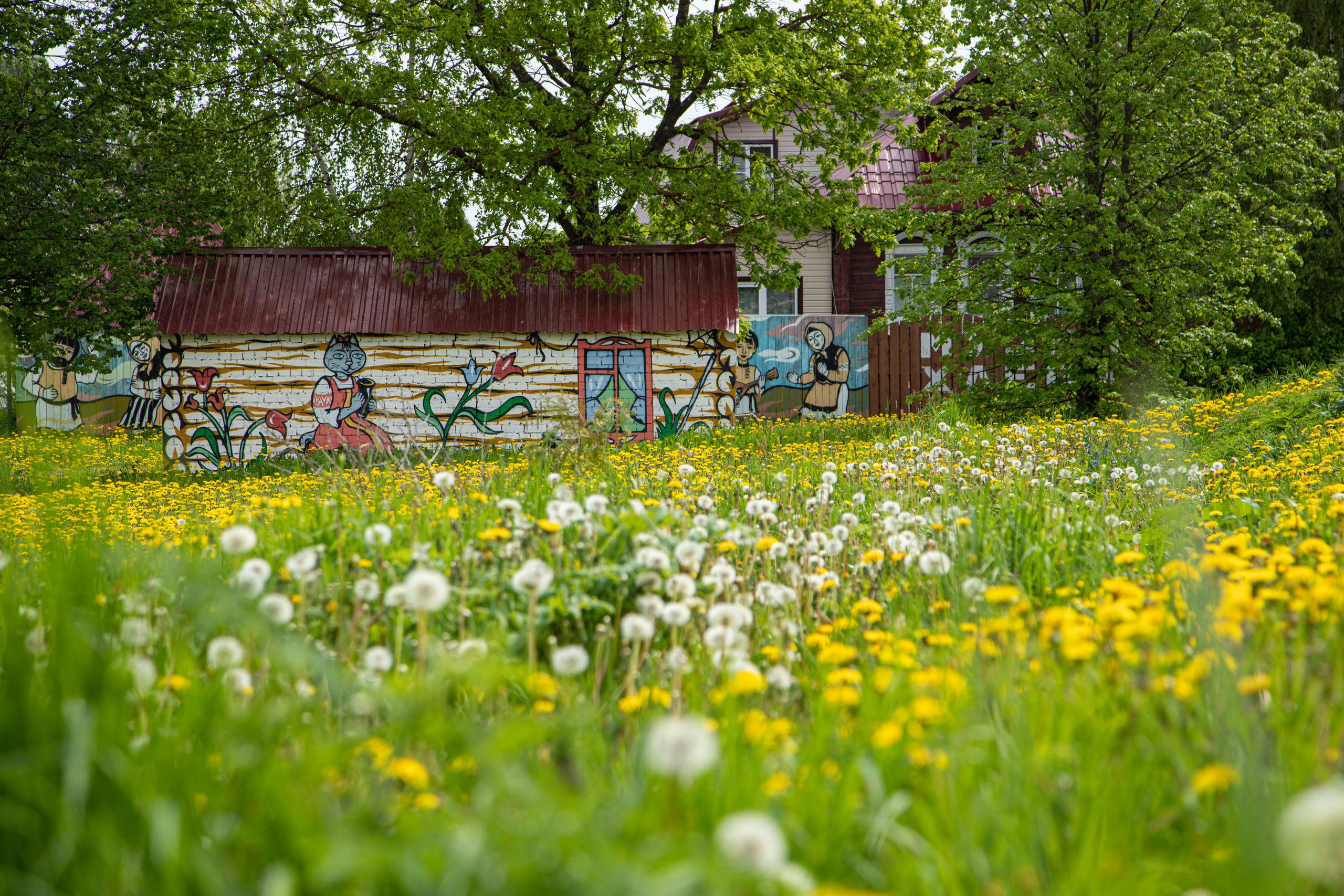 Про жизнь. Фотограф Сергей Ловкий