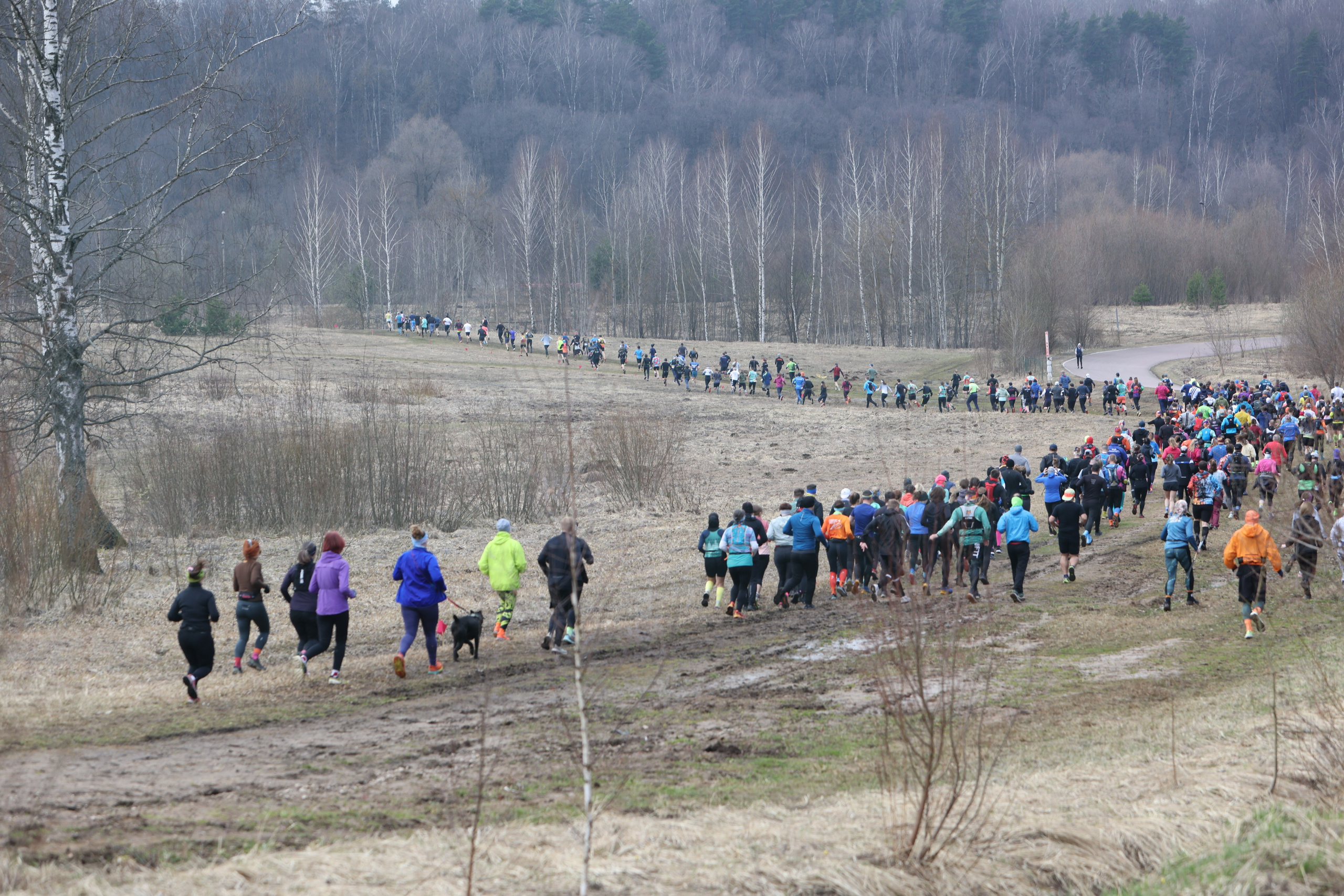 Трейл Химкинский лес, 12.04.26. Фотограф Сергей Ловкий
