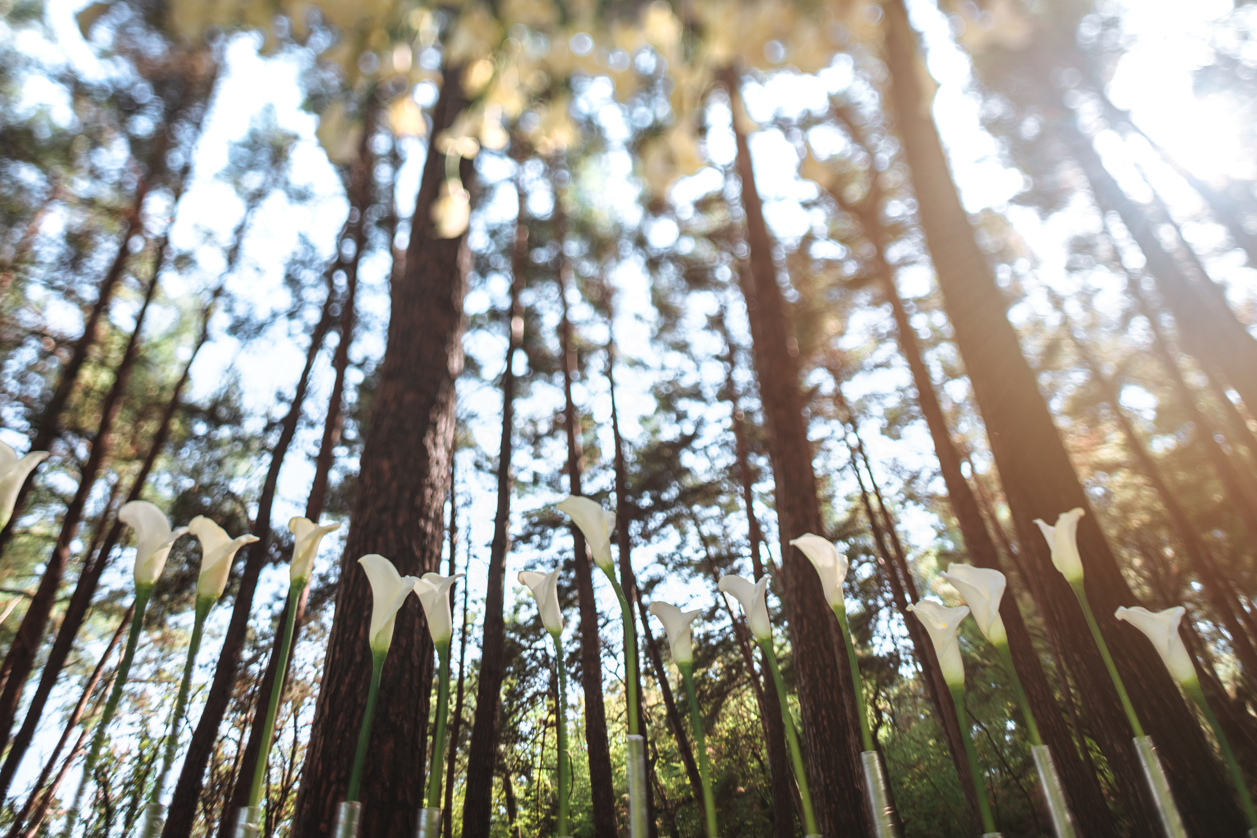 Валентин и Екатерина. Свадебный и портретный фотограф в Симферополе и Крыму