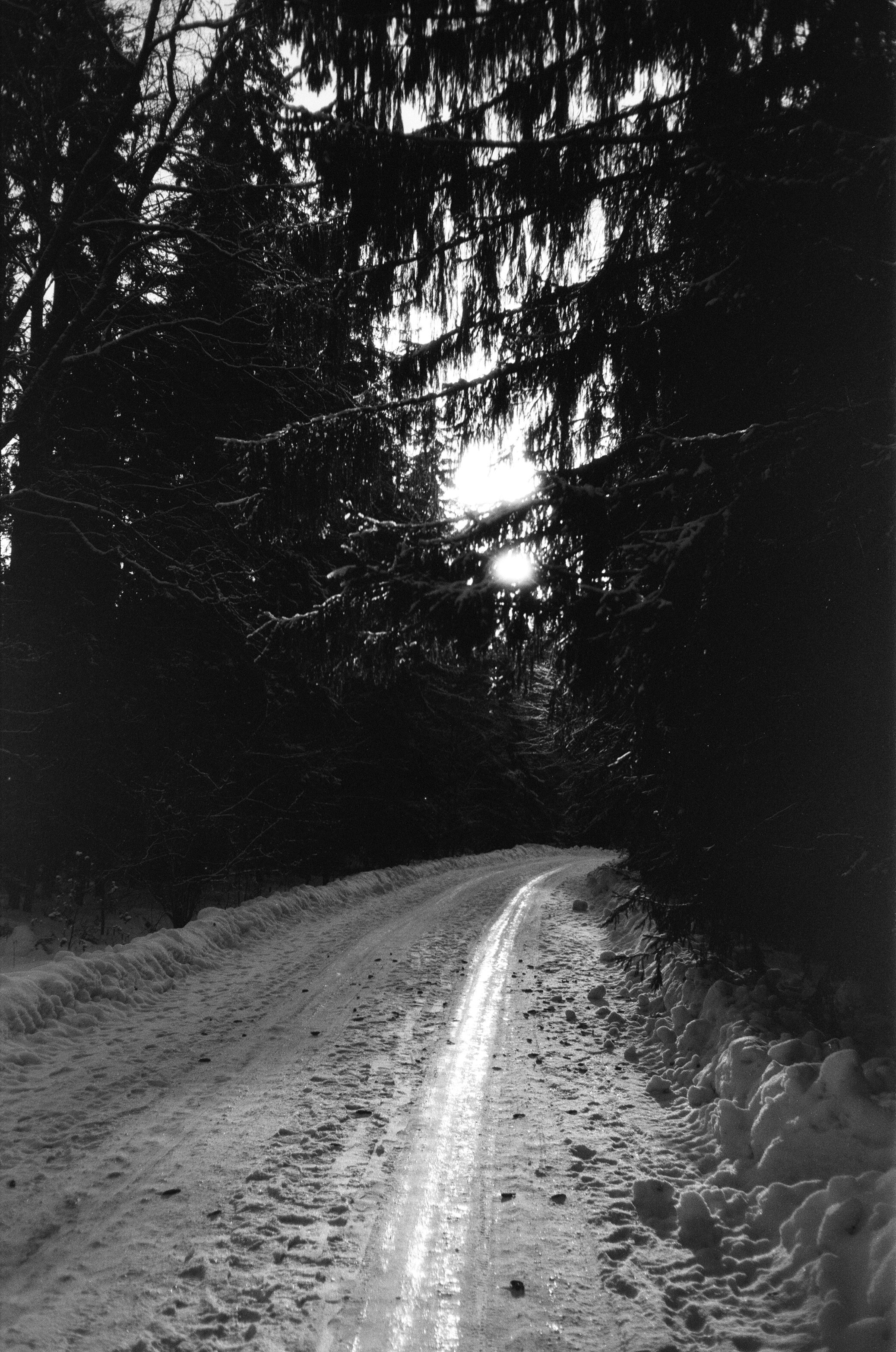 Minox 35GT / Тасма Т-25 ISO 100 / Давыдовское, Лукино